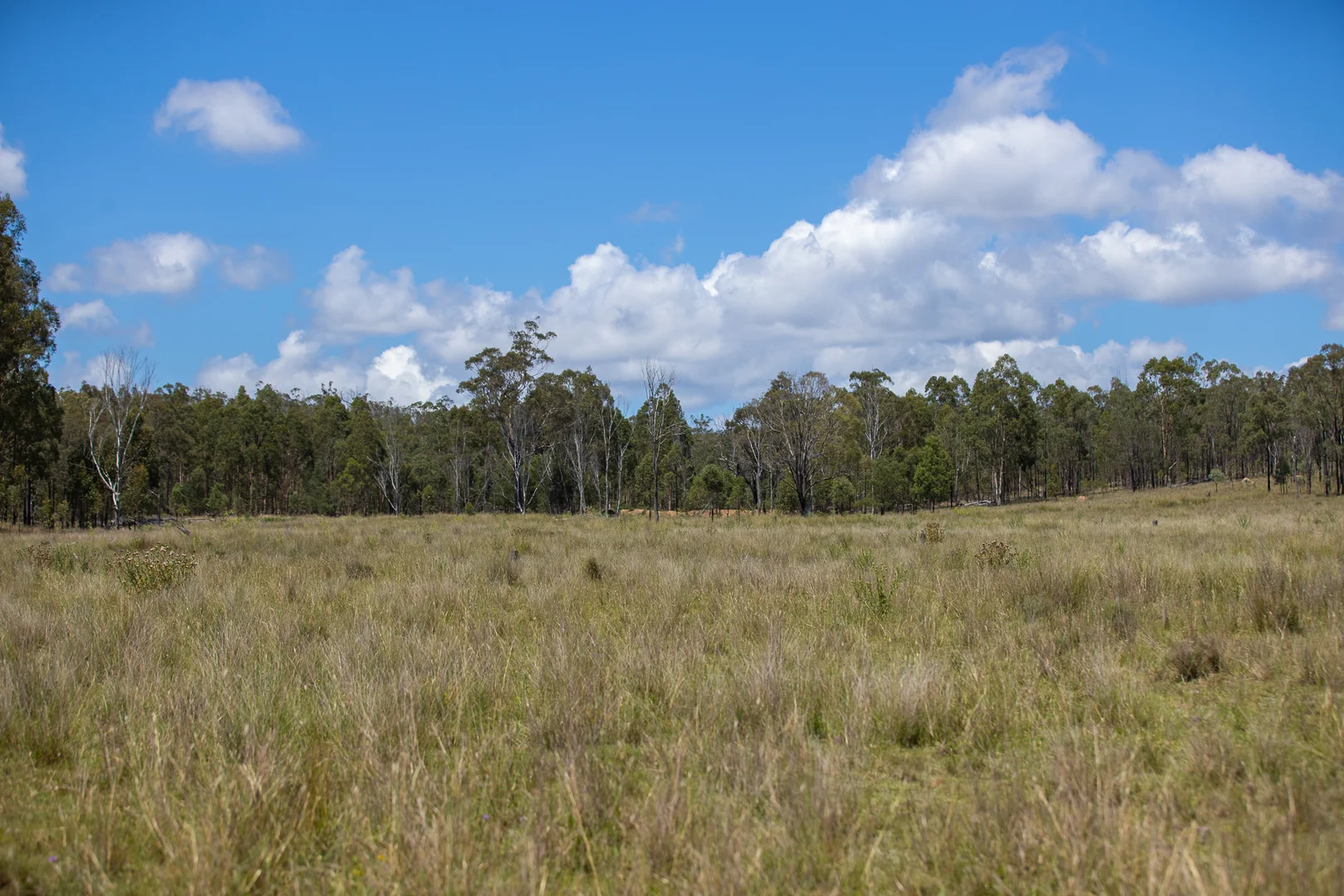 Additional image 9 of 'Hutton' 570 Hazeldene Road, Thanes Creek QLD 4370