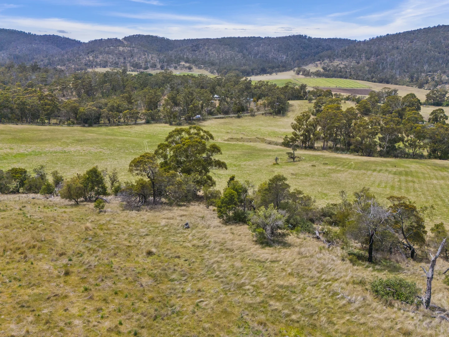 Additional image 14 of 1 Aldridge Road, Orielton TAS 7172
