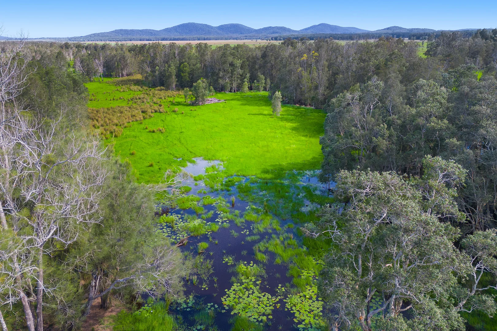 Additional image 9 of 1/437 Seale Road, Belmore River NSW 2440