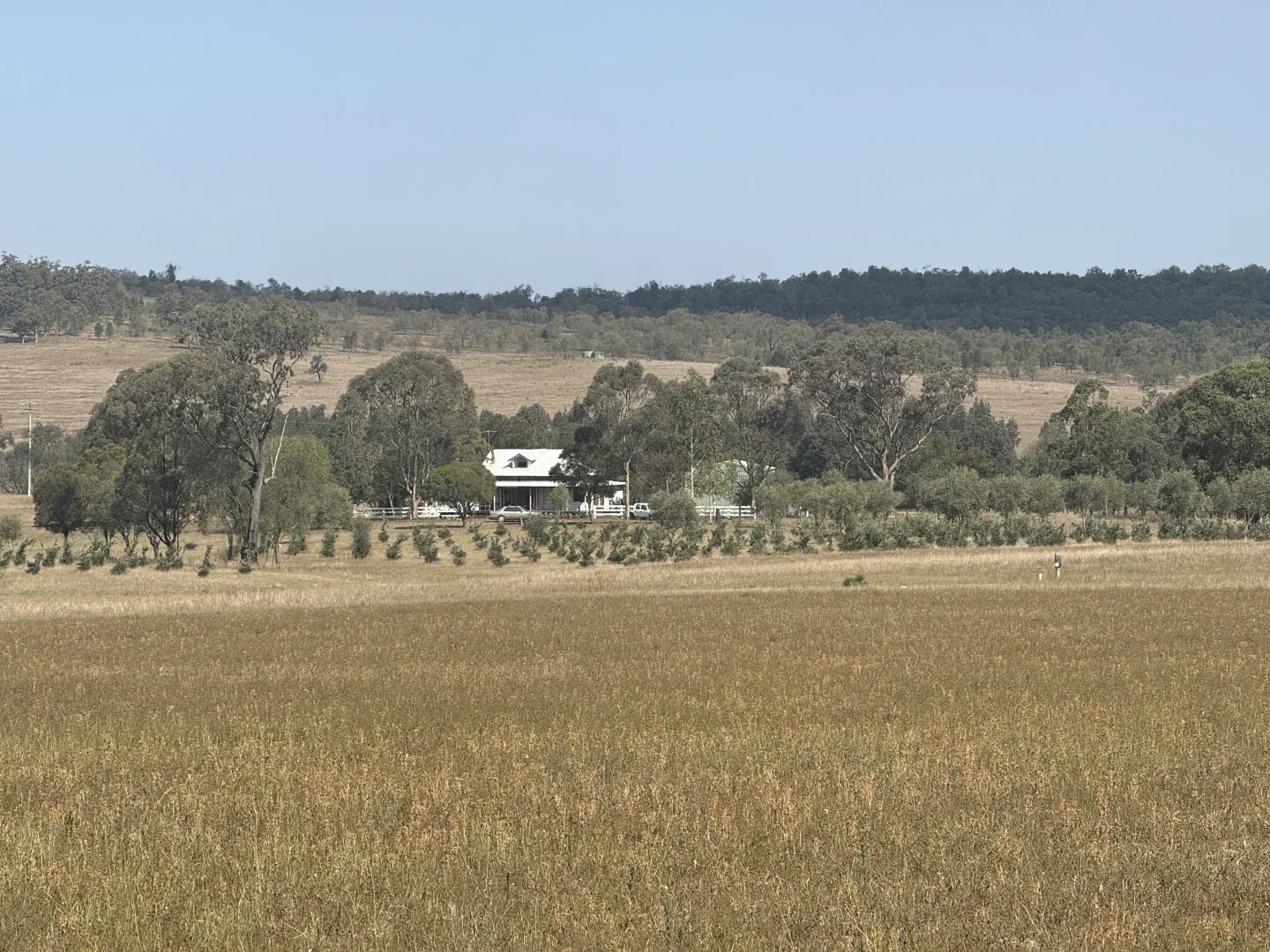 Additional image 15 of 207 Redmanvale Road, Jerrys Plains NSW 2330