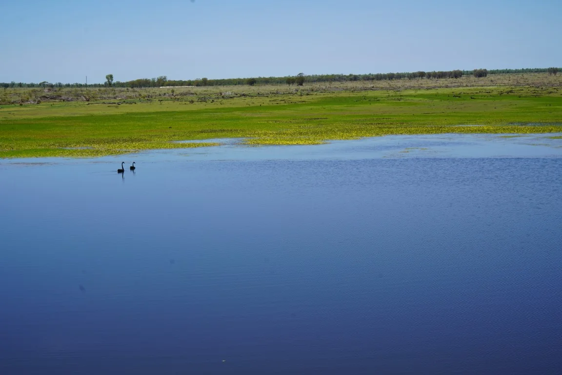 Additional image 12 of 1081 Tareela Access Road, Mungallala QLD 4467