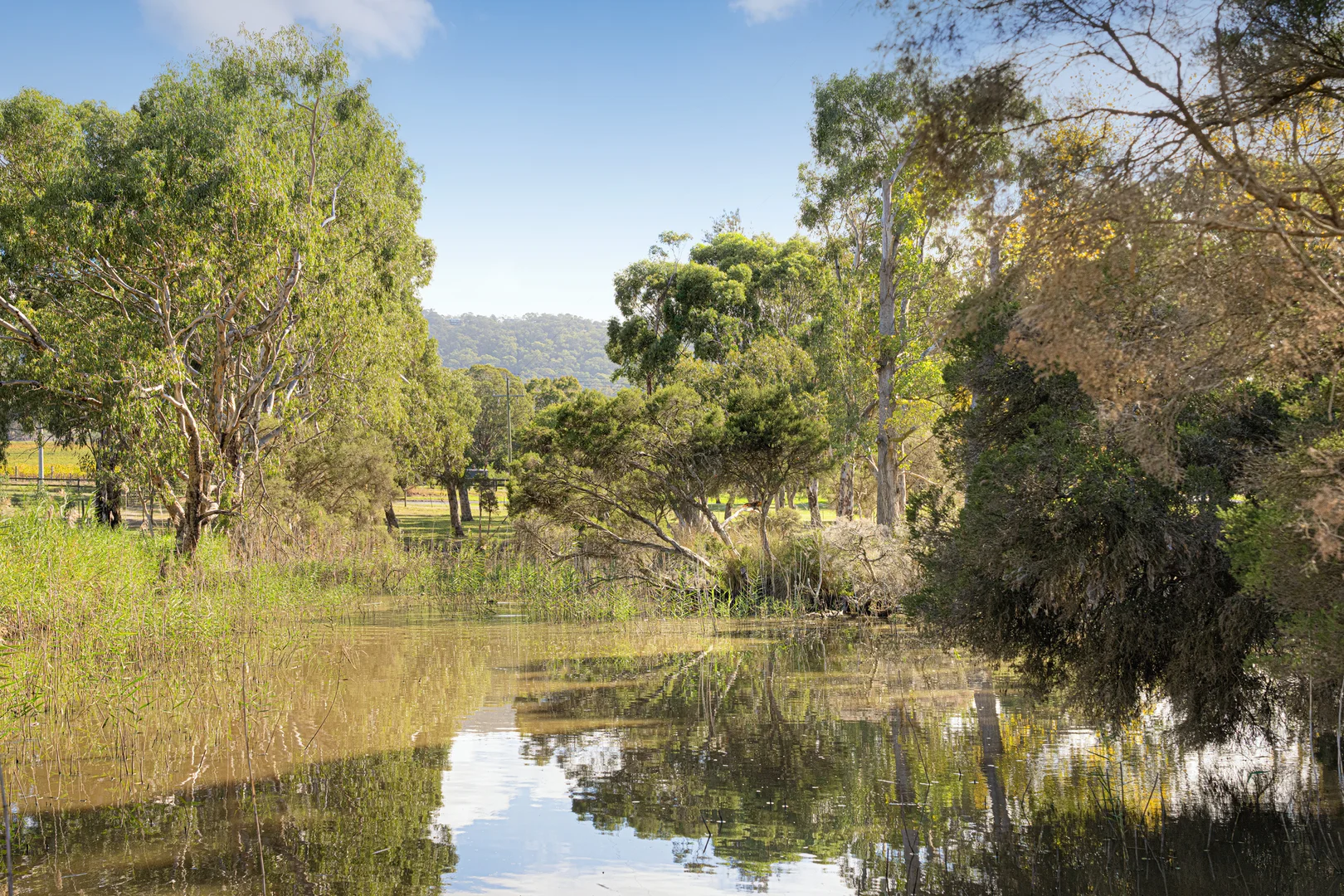 Additional image 11 of 177 Yarraview Road, Yarra Glen VIC 3775