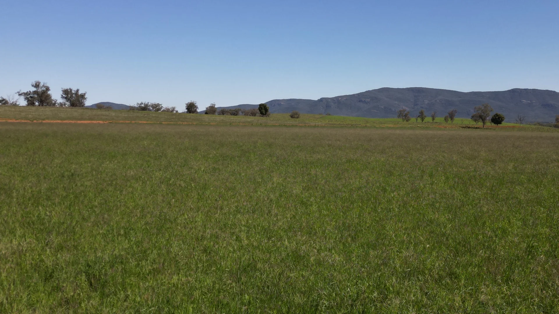 Additional image 22 of 450 Bridges Road, Gunnedah NSW 2380