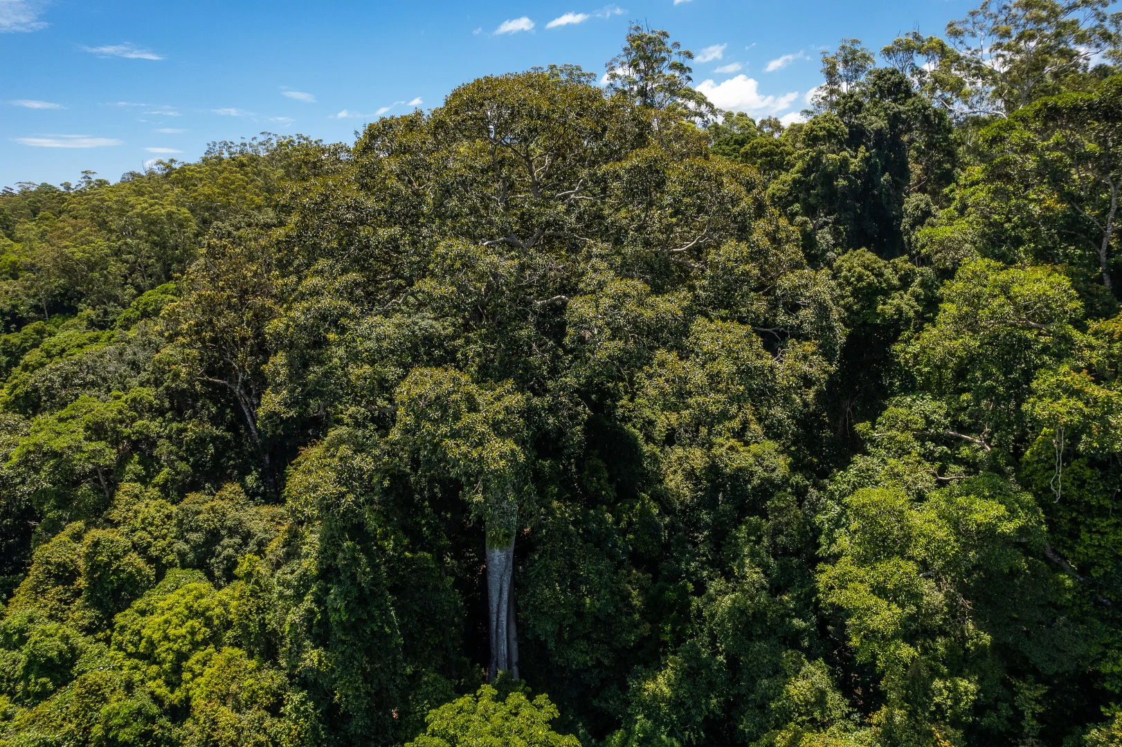 Additional image 12 of 156 Freds Road, Mount Pleasant QLD 4521