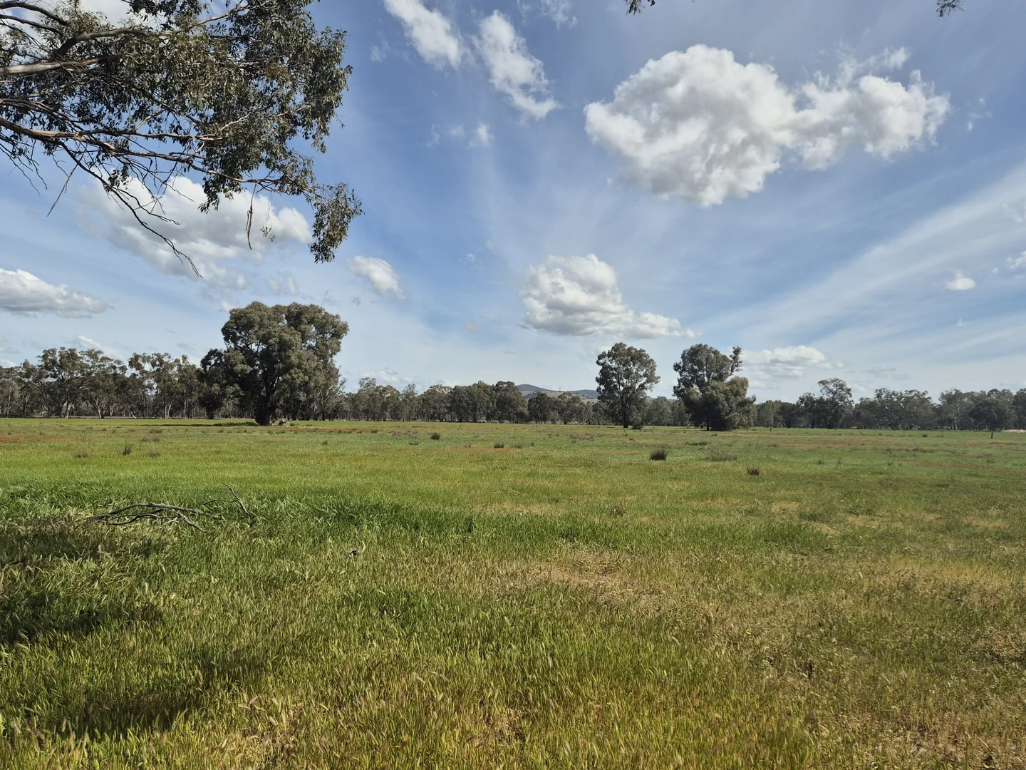 Additional image 14 of 50 Ramage Road, Violet Town VIC 3669