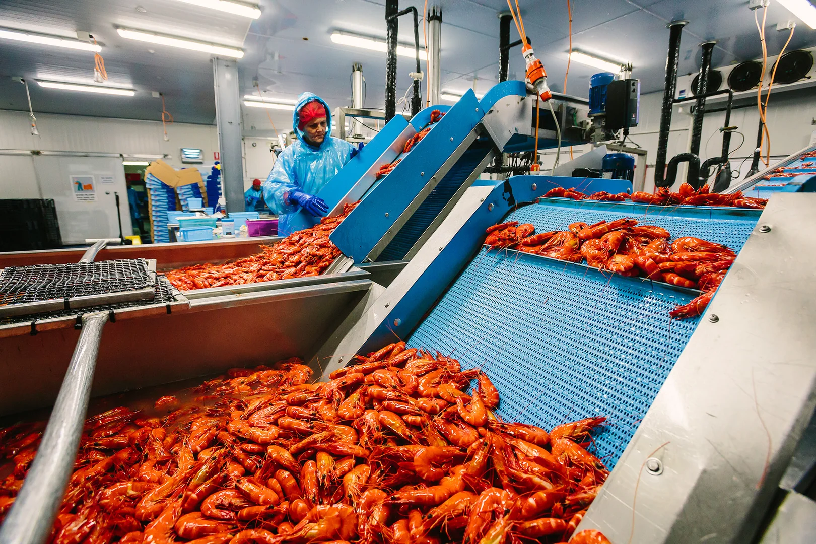 Additional image 5 of Alva QLD 4807