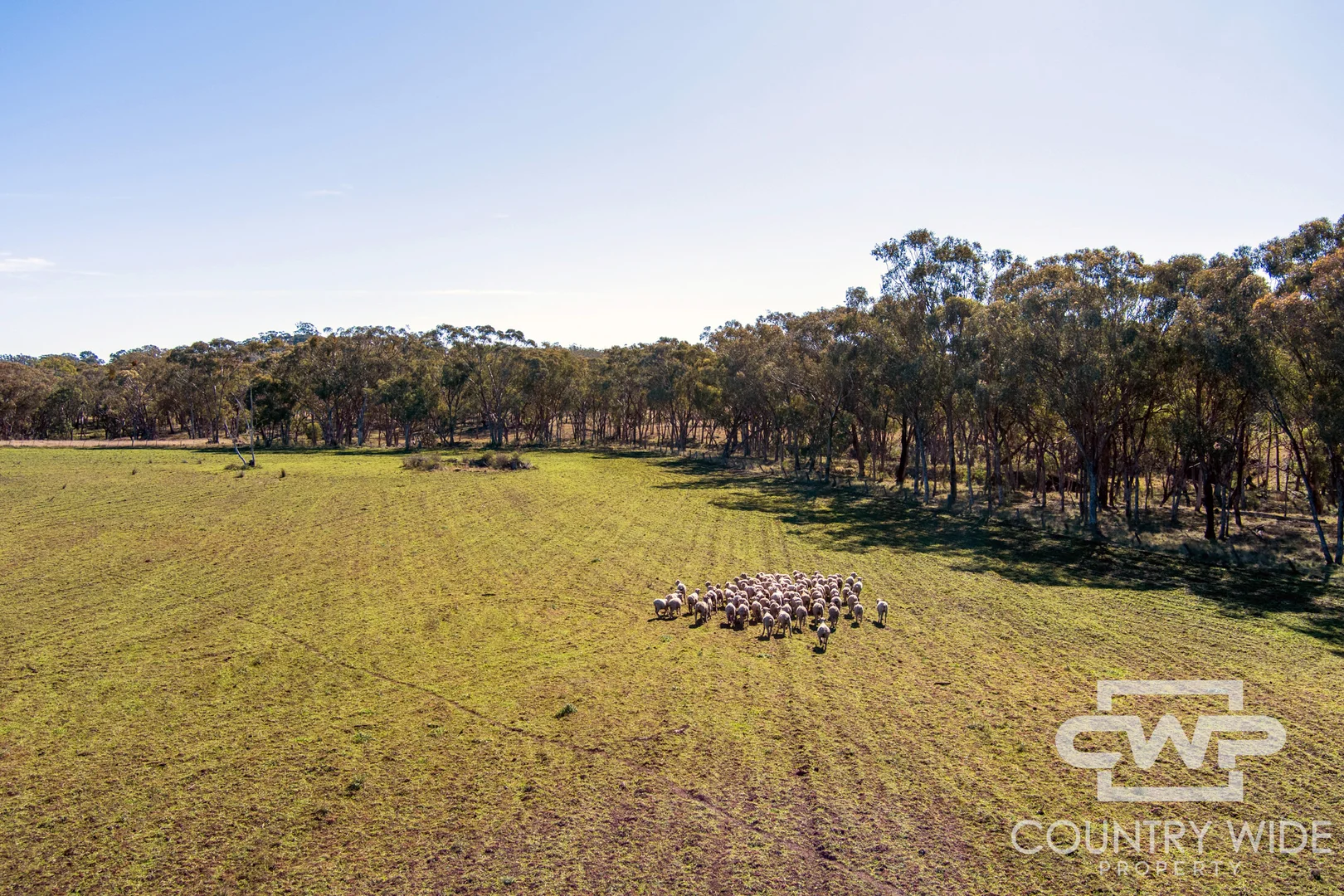 Additional image 4 of 8, - Emmaville Road, Emmaville NSW 2371