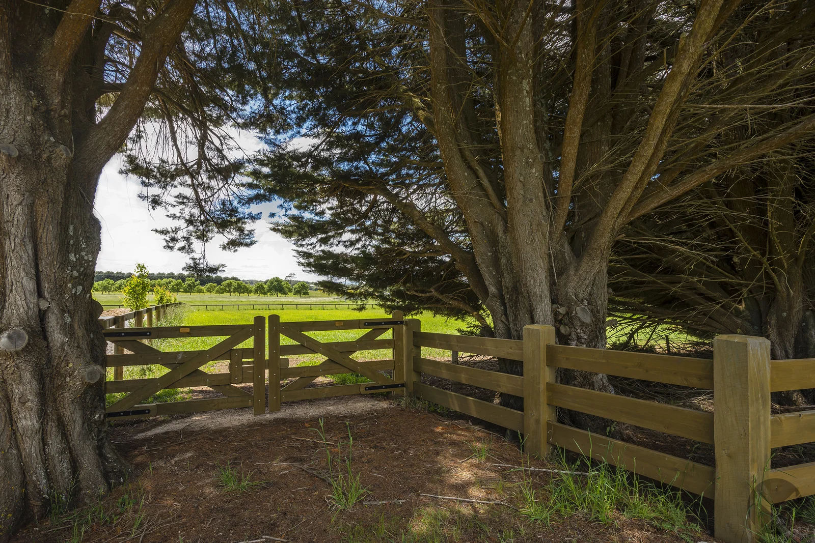 Additional image 10 of 178 Glenfern Road, Romsey VIC 3434