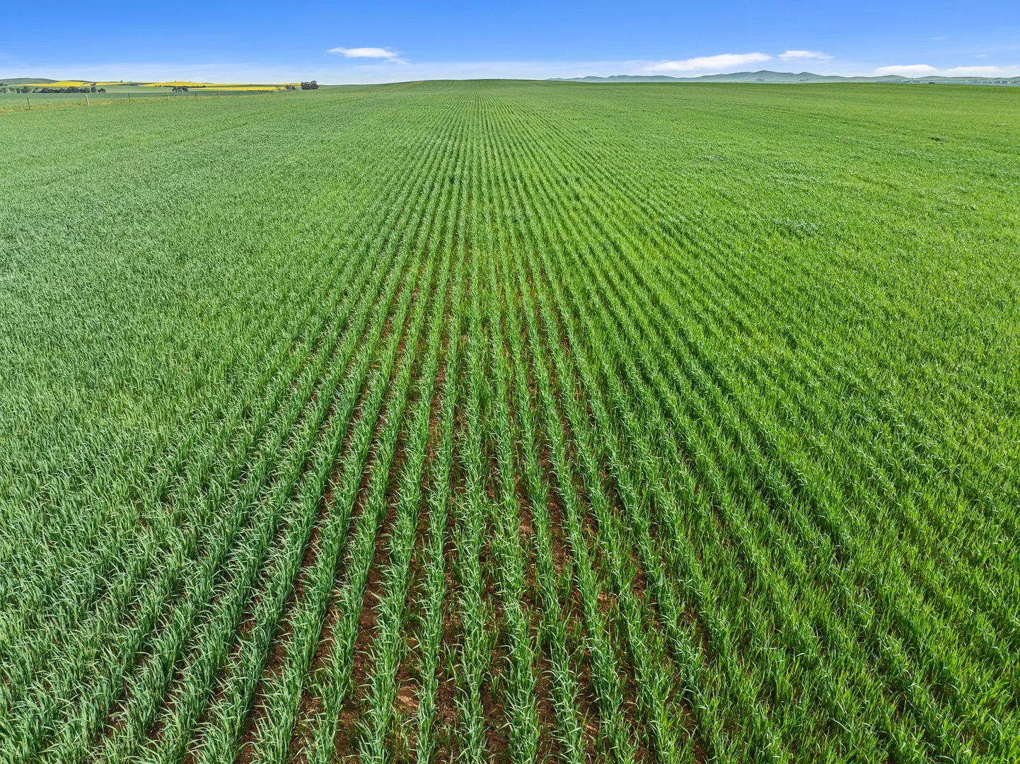 Additional image 4 of 1 Tohls Road, Booborowie SA 5417