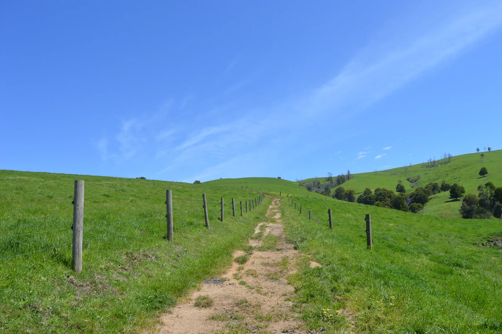 Additional image 10 of 365 Limonite Road, Boolarra South VIC 3870