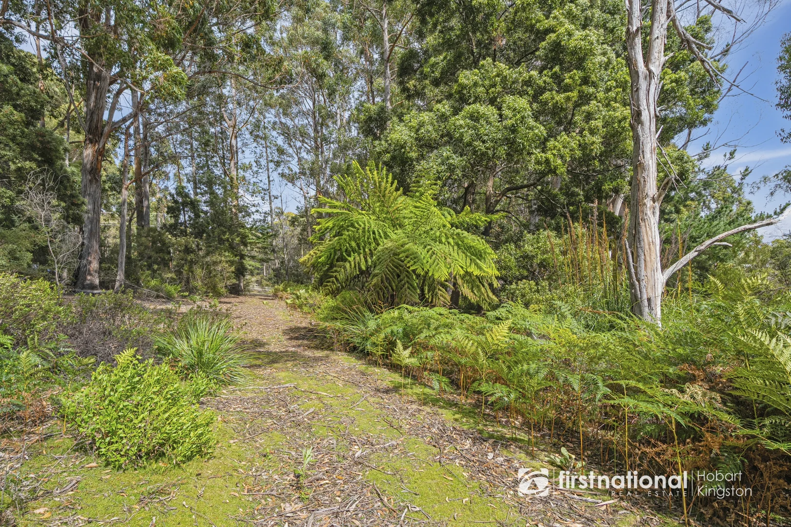 Additional image 11 of 15 Seaview Road, Adventure Bay TAS 7150