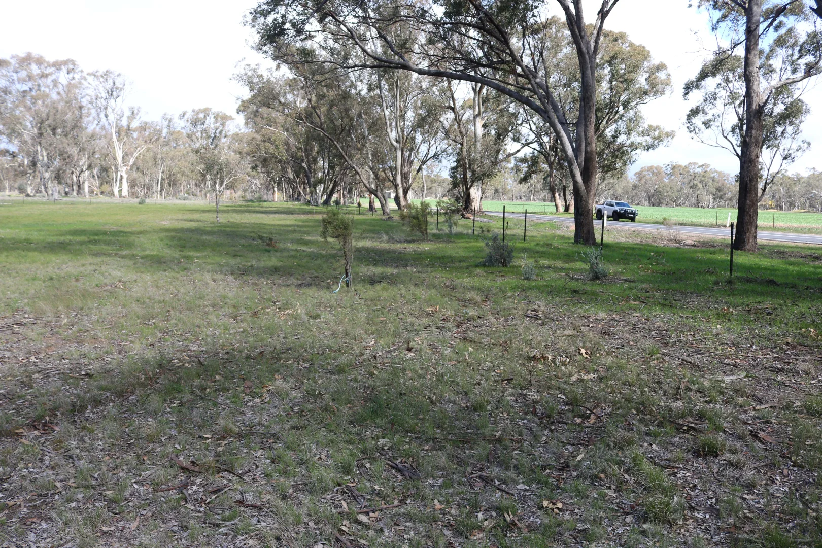 Additional image 7 of 300 Bridgewater-Dunolly Road, Arnold VIC 3551