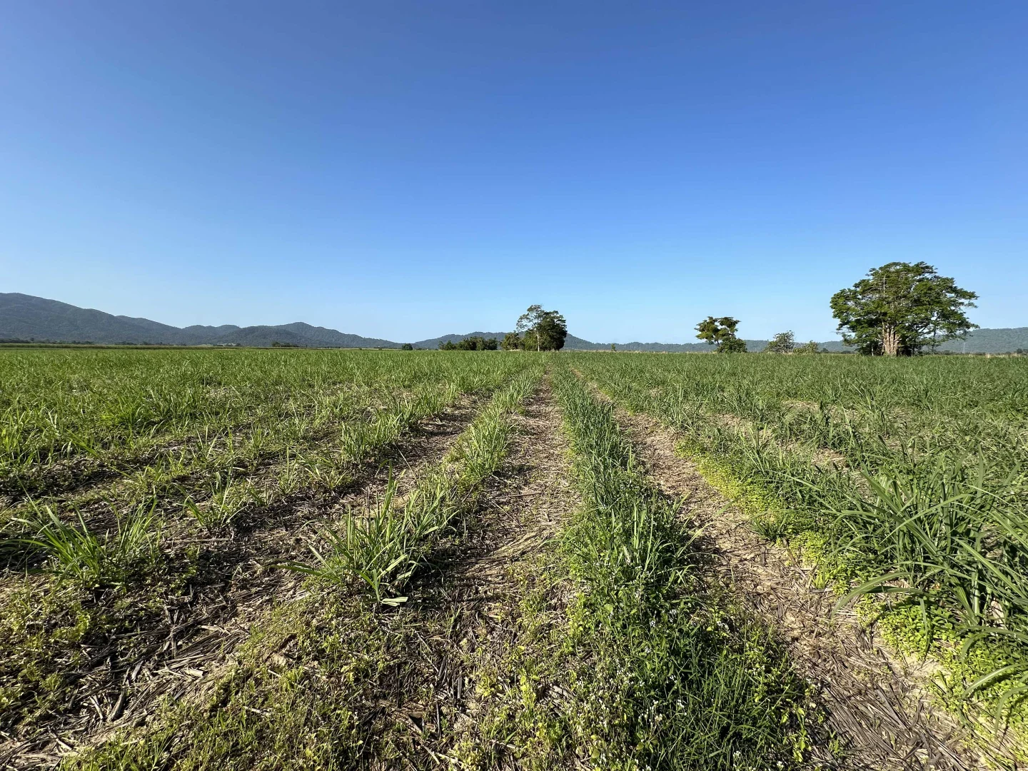 Additional image 15 of Lot 2 Broderick Road, Midgenoo QLD 4854