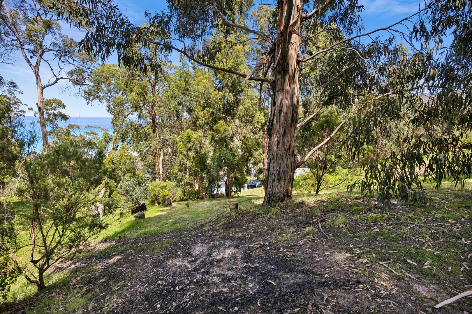Additional image 2 of 8 Durimbil Avenue, Wye River VIC 3234