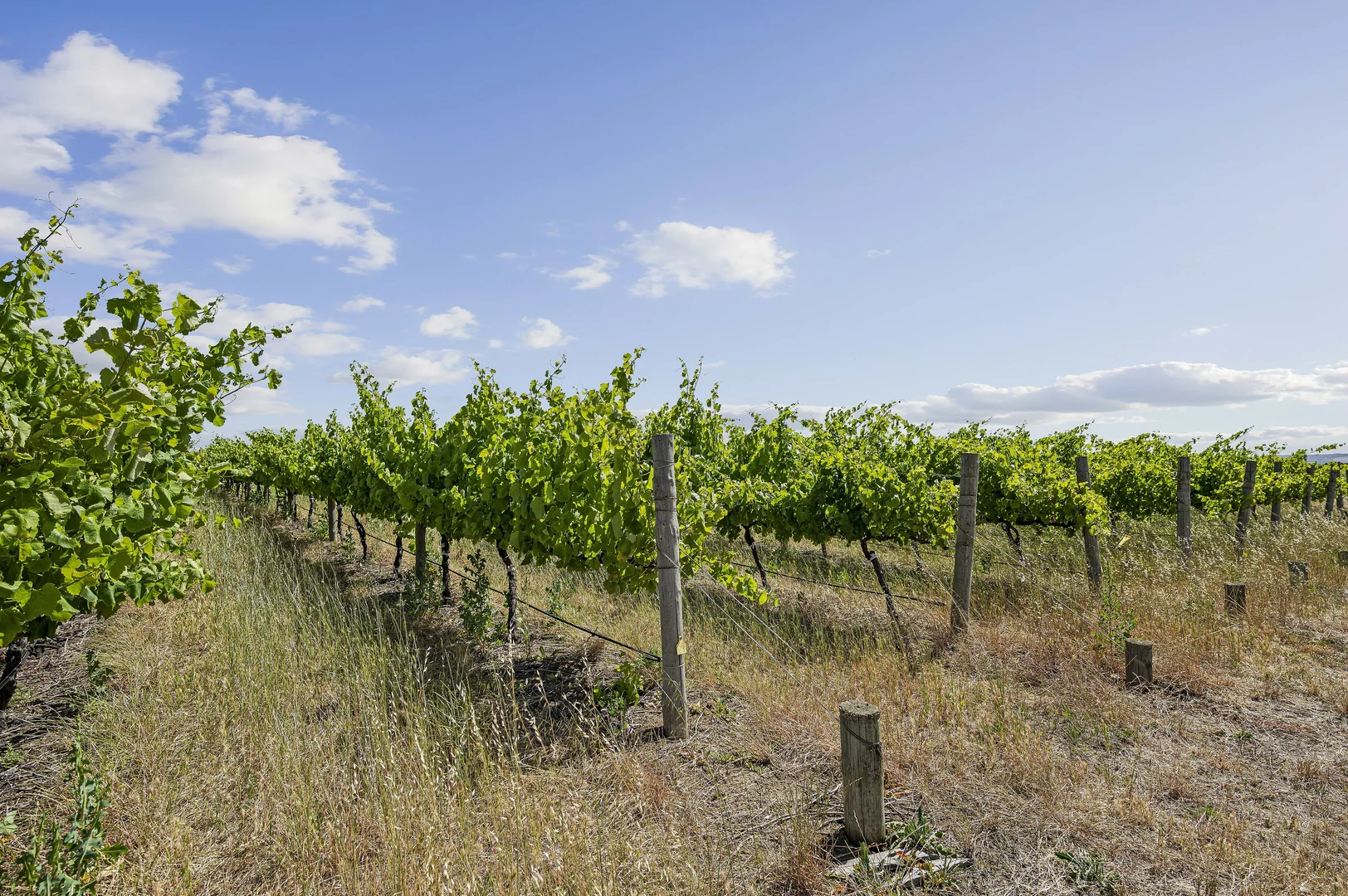 Additional image 11 of Lot 2 Plains Road, Aldinga SA 5173