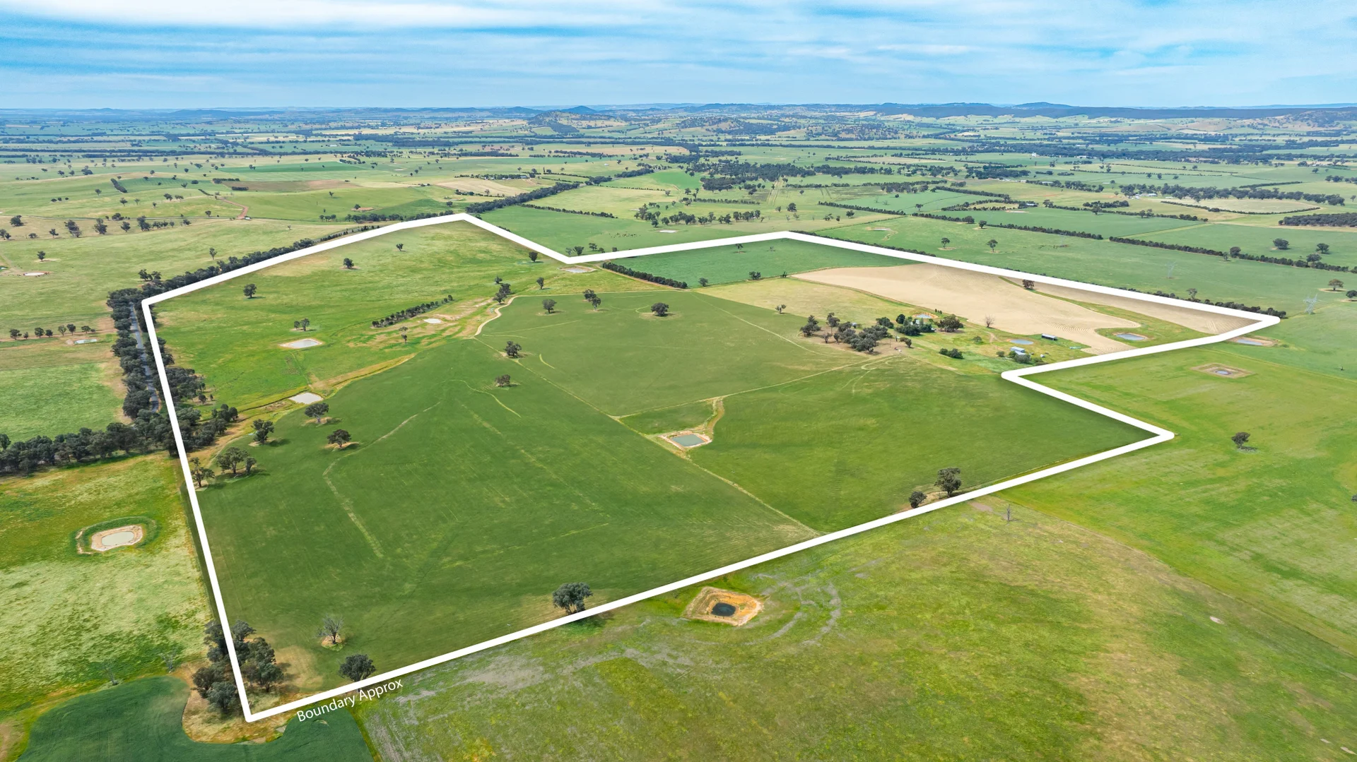 Additional image 13 of 1470 Yerong Creek Mangoplah Road, Mangoplah NSW 2652