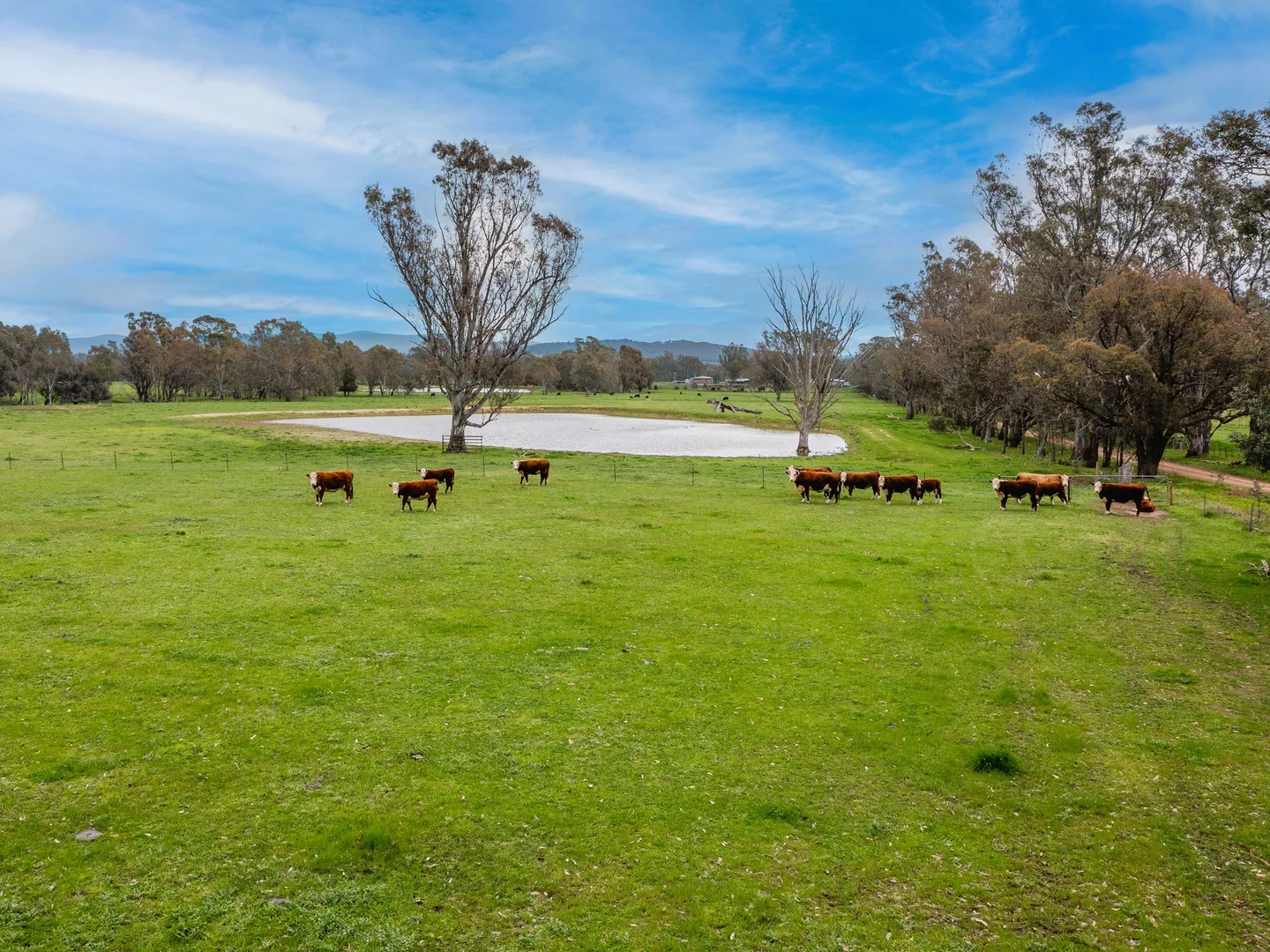 Additional image 26 of 2034 Benalla-Tatong Road, Tatong VIC 3673