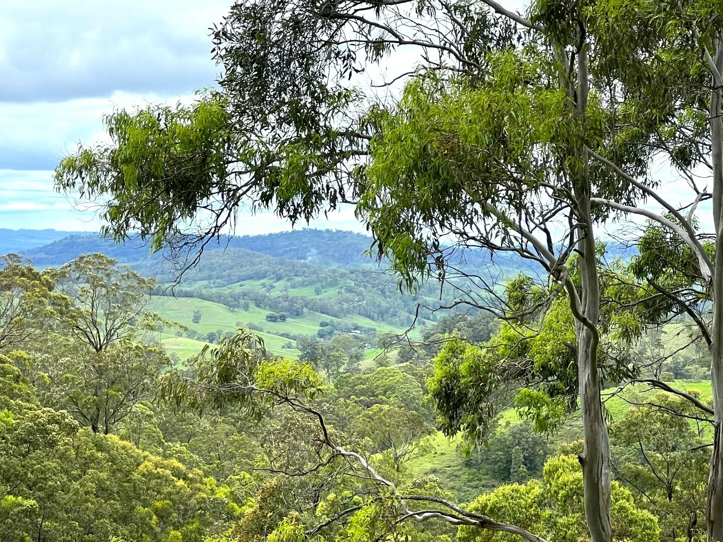 Additional image 28 of 59 Wyndham Road, Wyneden NSW 2474