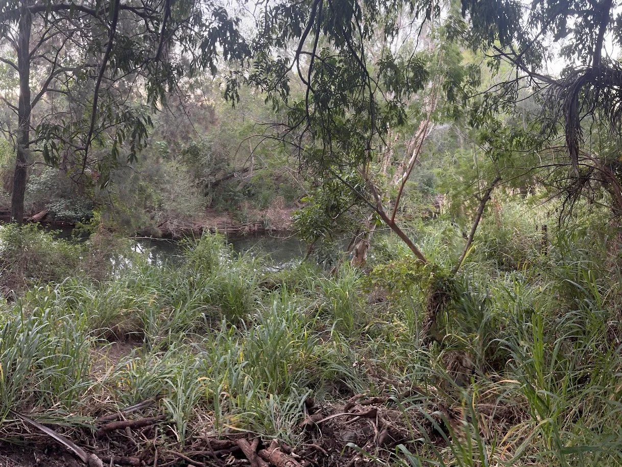 Additional image 17 of 25 Flaggy Rock Road, Clairview QLD 4741