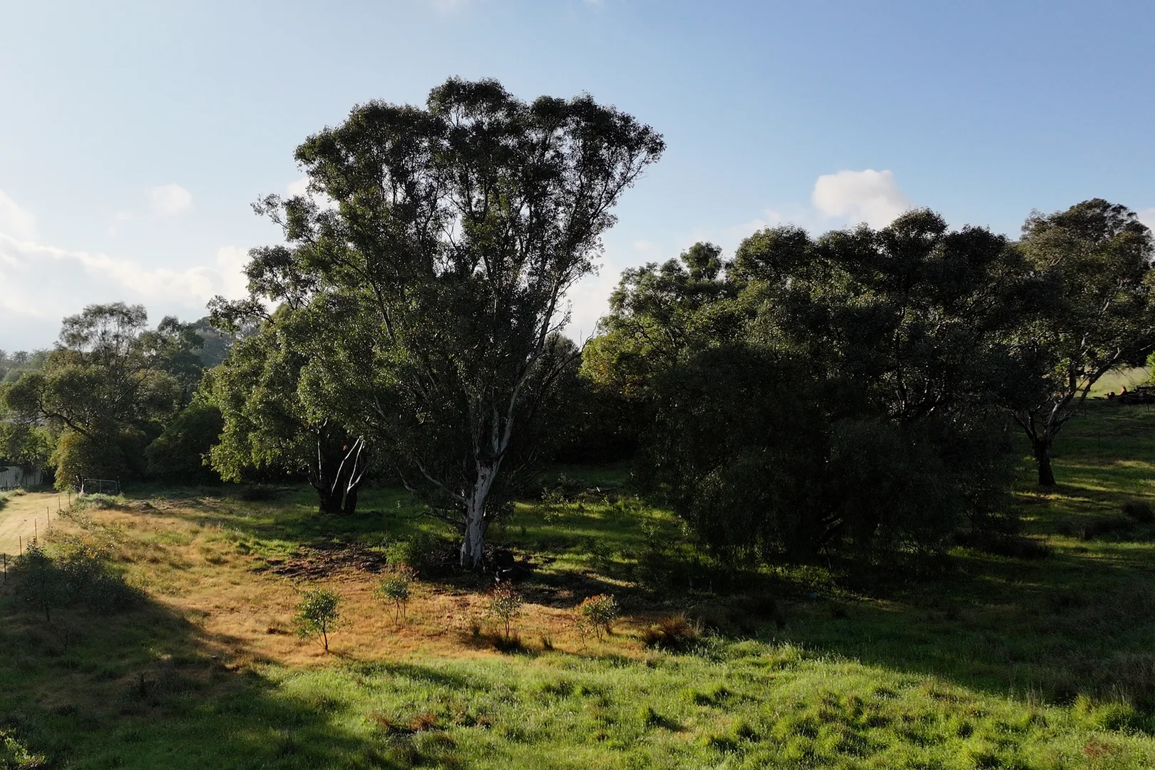 Additional image 11 of 18 Mylora Street, Binalong NSW 2584