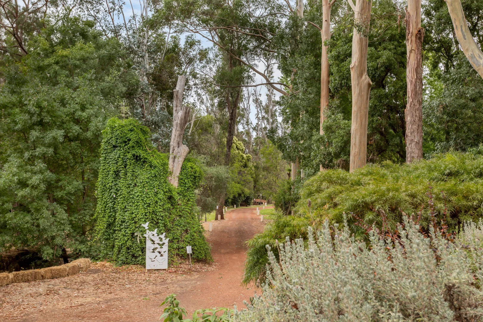 Additional image 29 of Lot 14 Grange Road, Nannup WA 6275