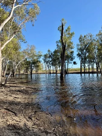 Additional image 4 of Lot 53 Old Deniliquin Road, Moama NSW 2731