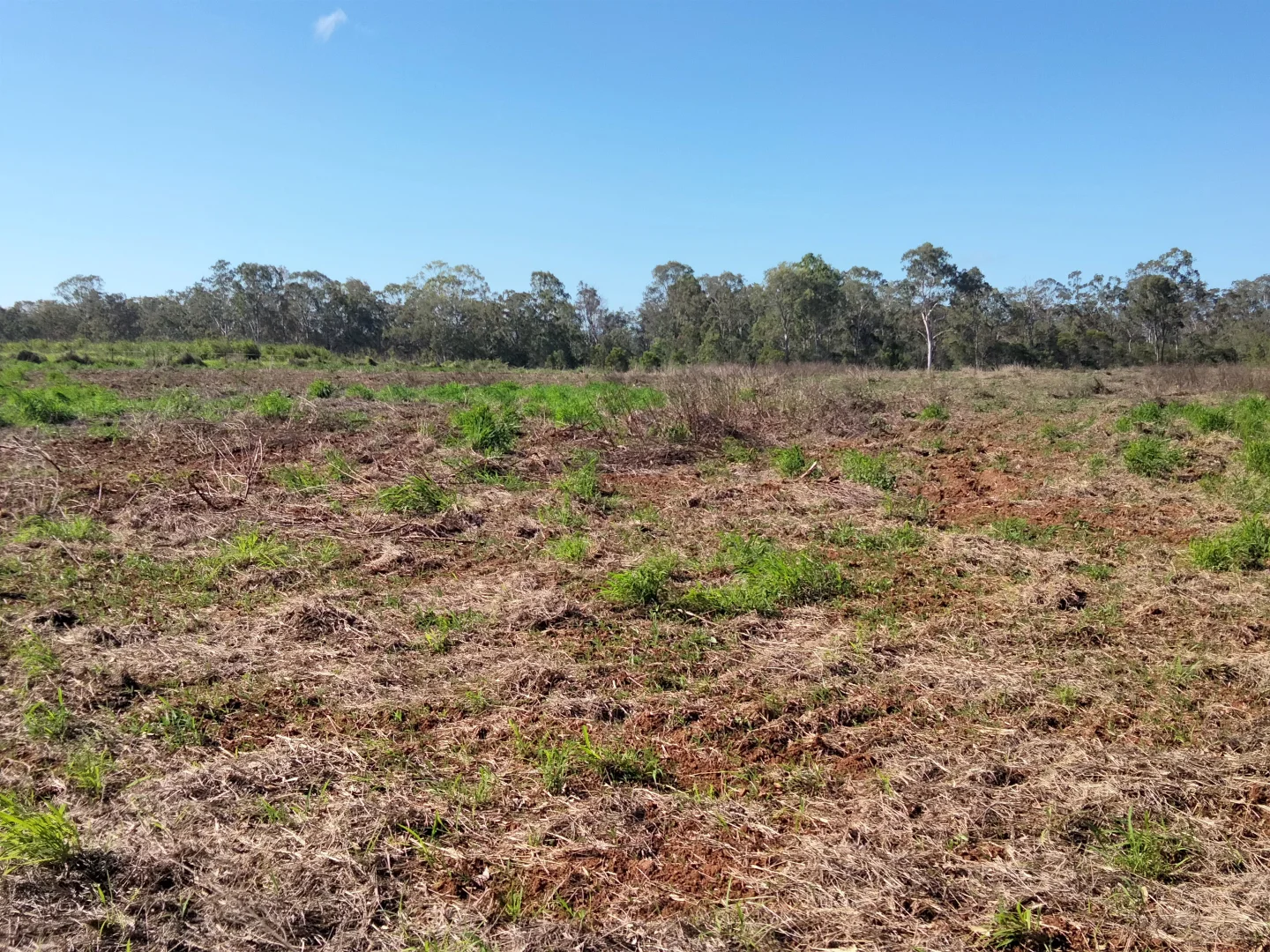 Additional image 7 of 2913 Rosedale Road, Yandaran QLD 4673