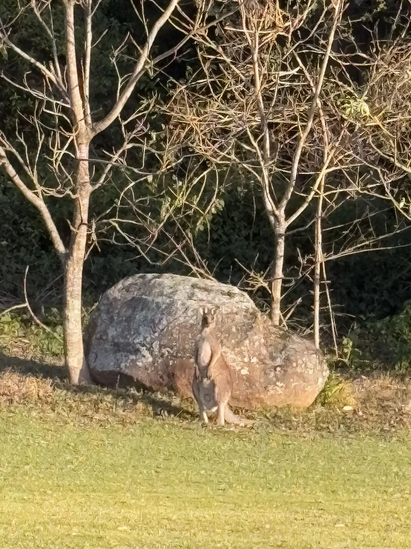 Additional image 21 of 65b Marden Lane, Kangaroo Valley NSW 2577