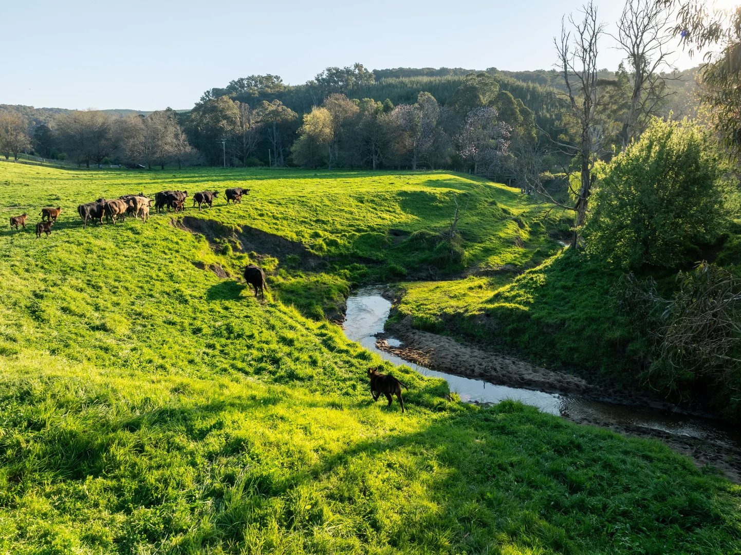 Additional image 3 of 315 Davies Road, Warrenbayne VIC 3670