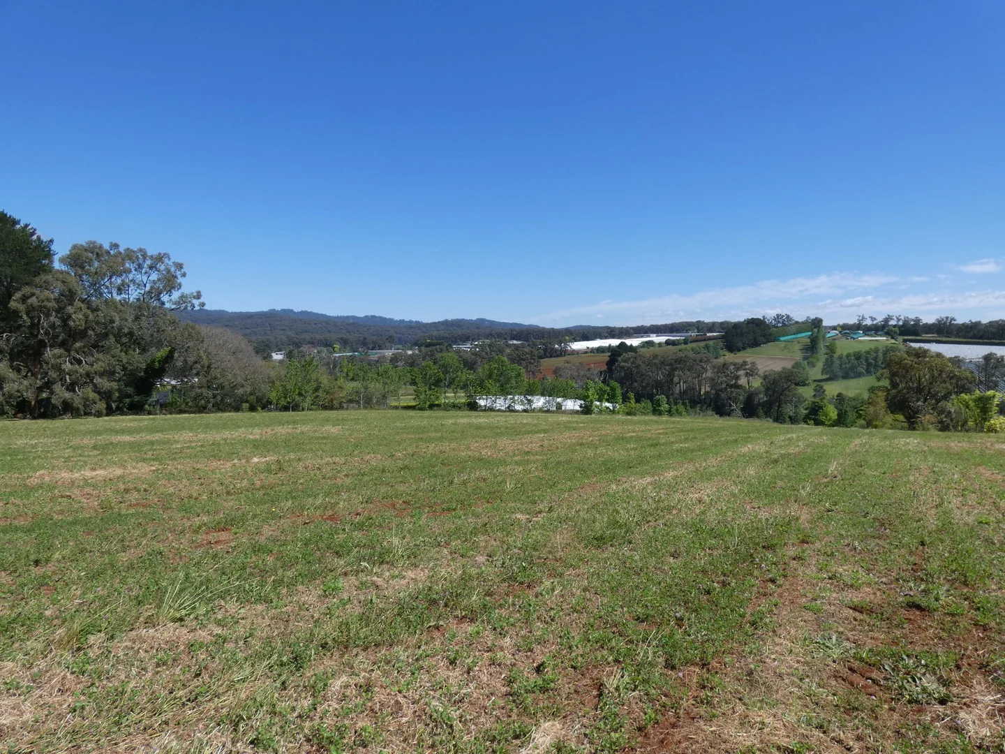Additional image 9 of Lot 1/95 Macclesfield Road, Monbulk VIC 3793