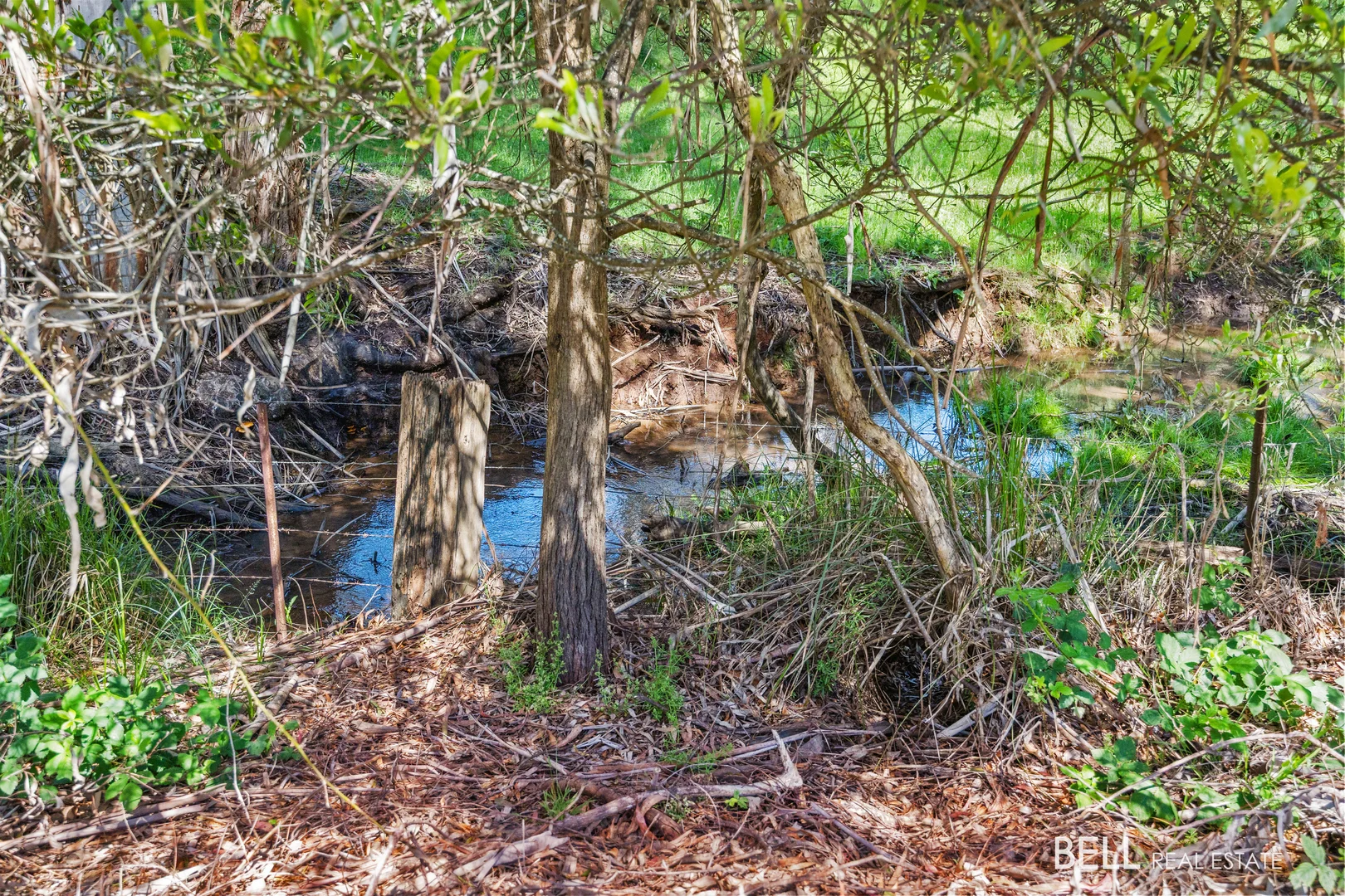 Additional image 2 of 65 Lewis Road, Hoddles Creek VIC 3139