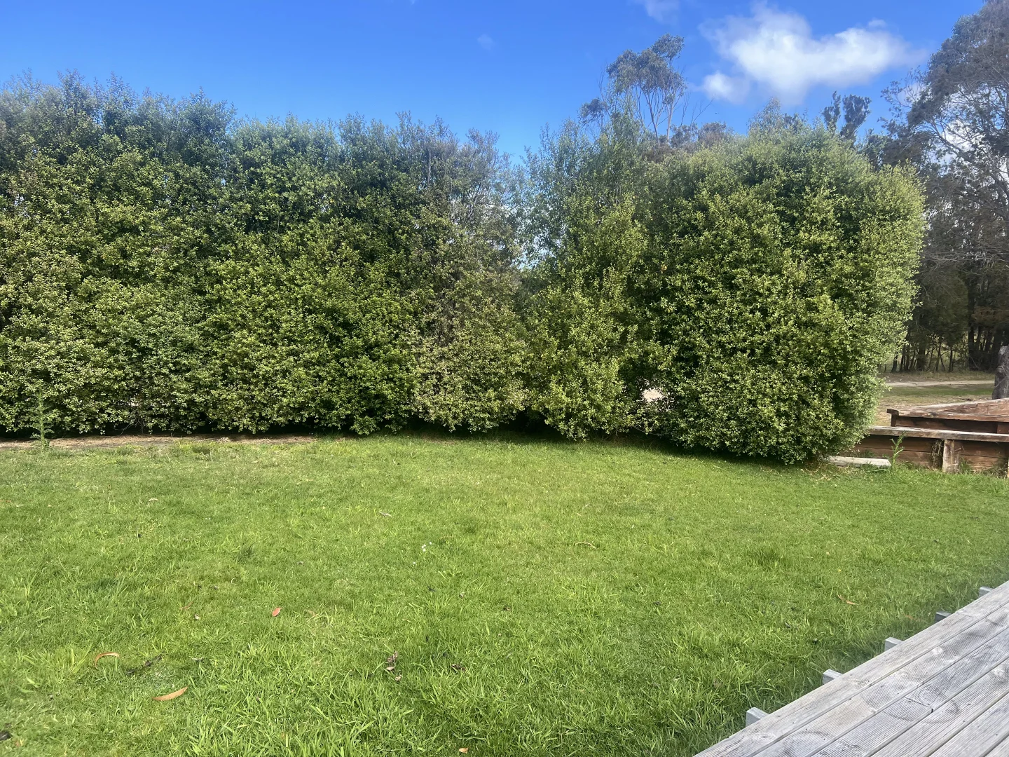 Additional image 18 of Steel St, Scamander TAS 7215