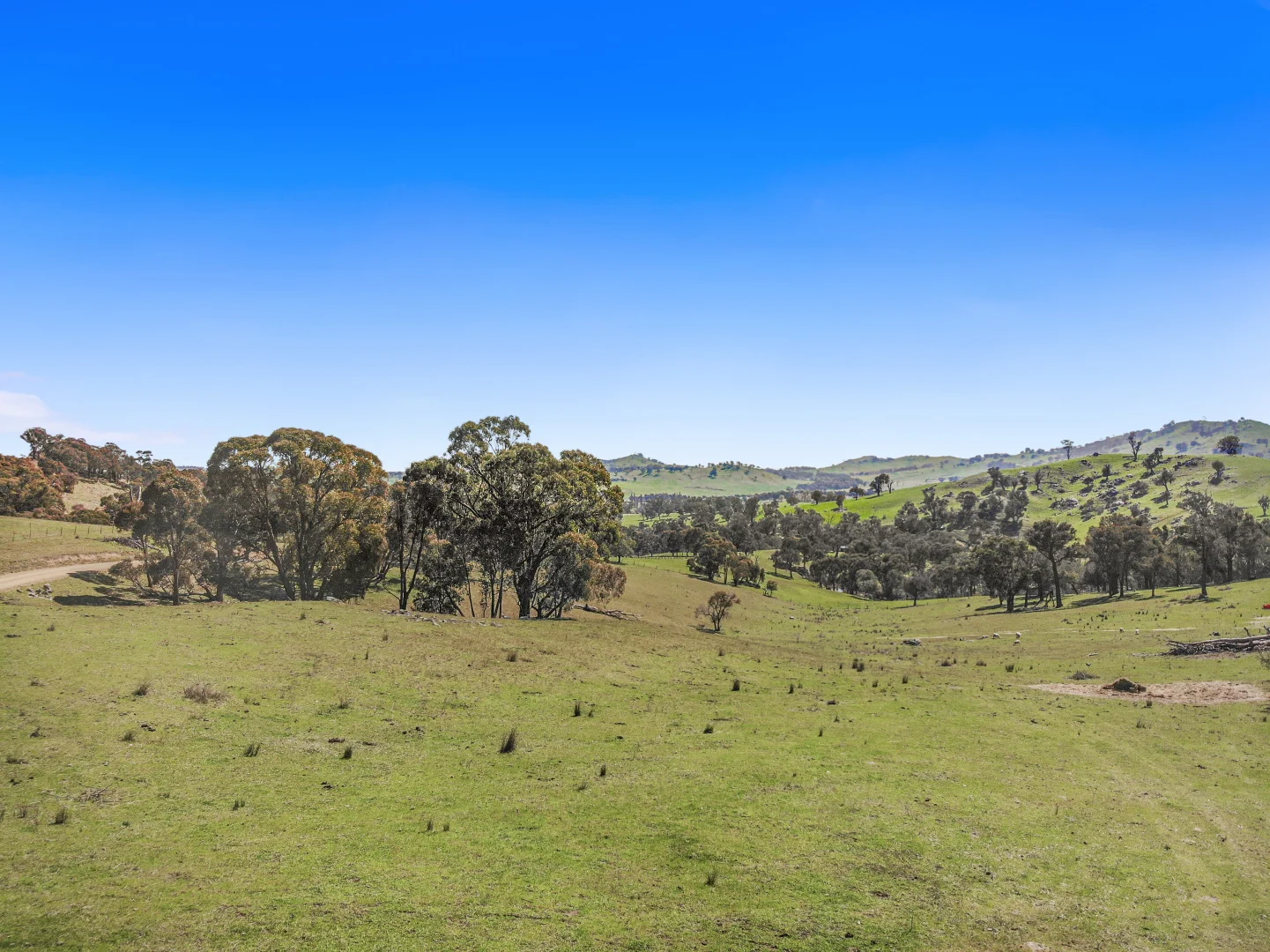 Additional image 15 of 221 Adjungbilly Village Road, Adjungbilly NSW 2727