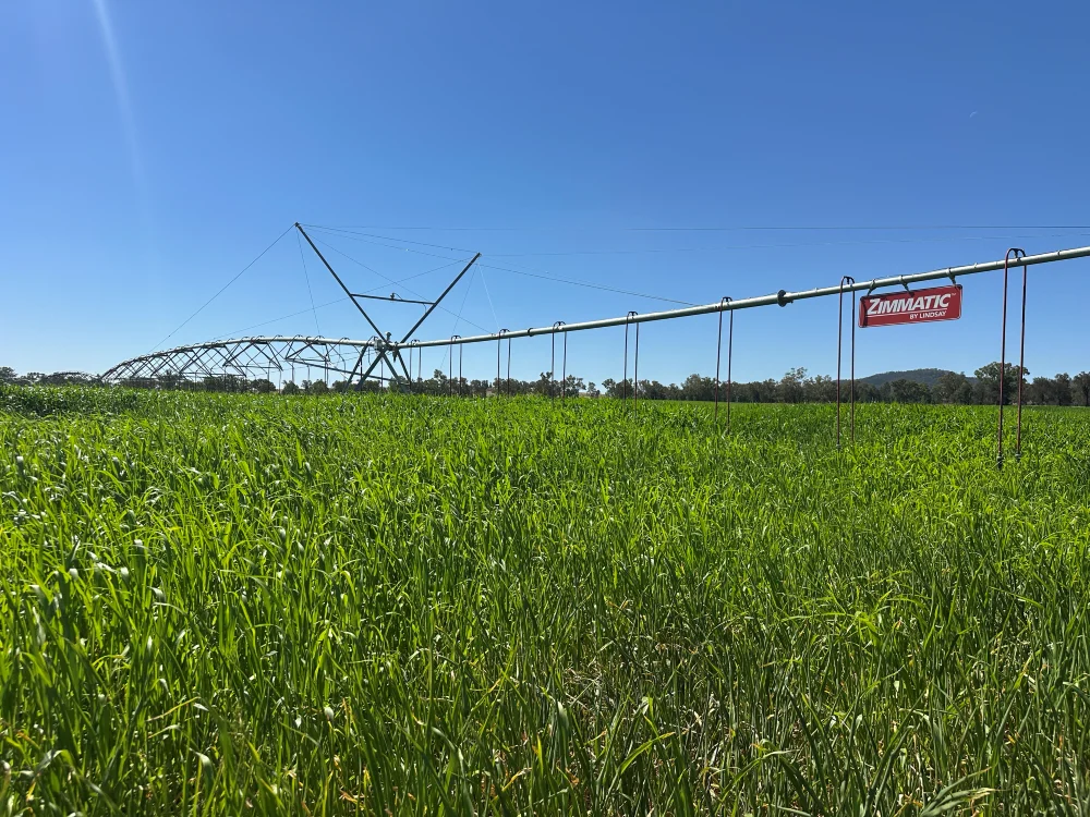 137 Fletchers Lane, Wagga Wagga NSW 2650