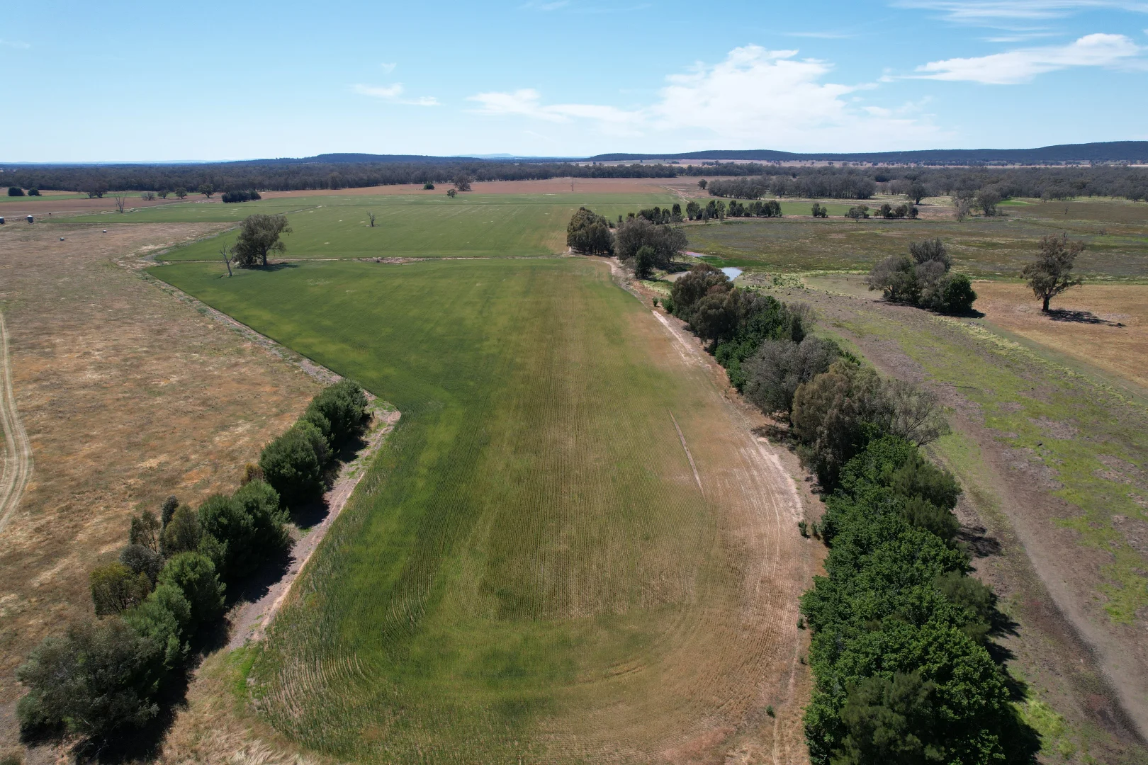 Additional image 20 of 2071 Yarrabandai Road, Bedgerabong NSW 2871