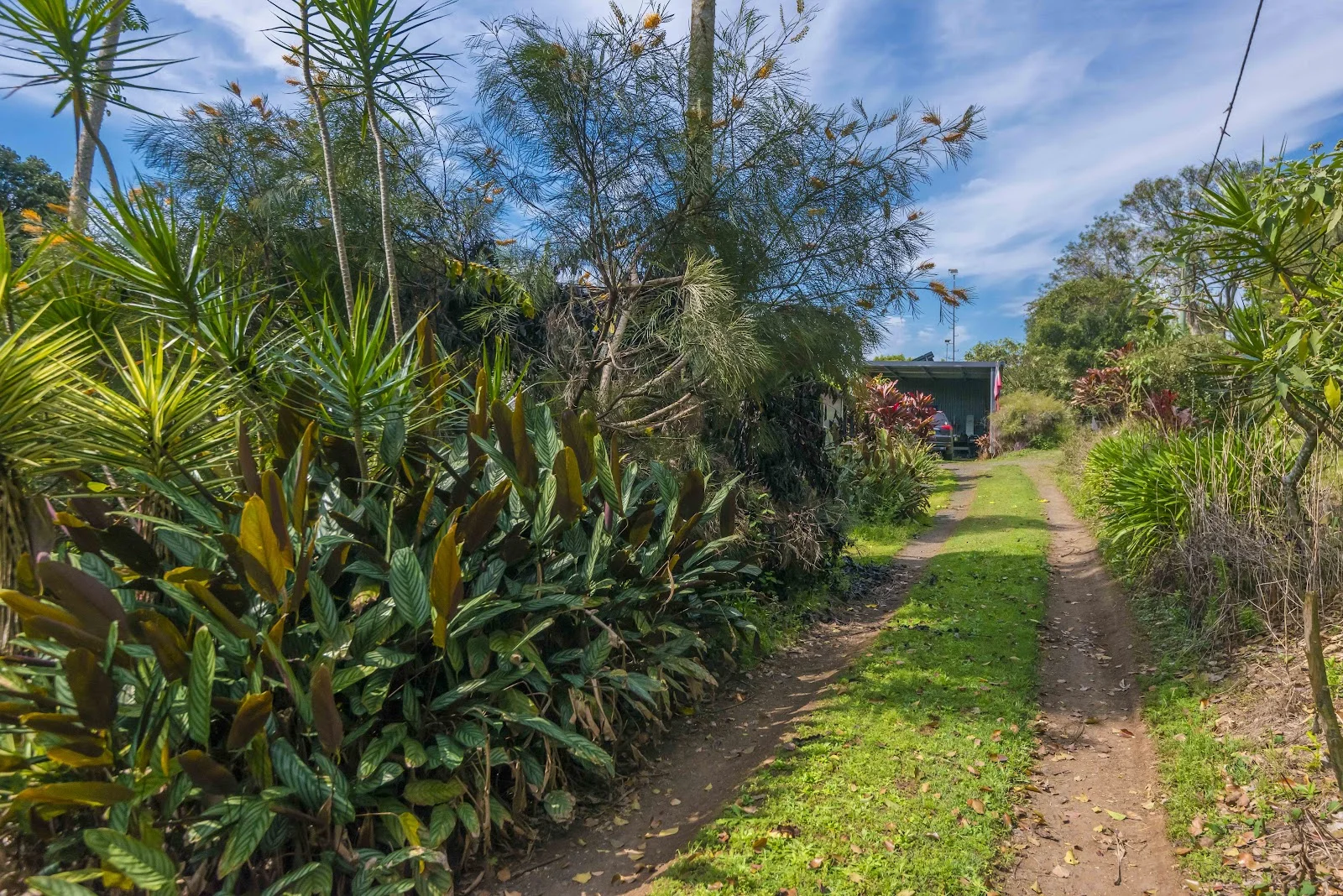 Additional image 22 of 110 Cullen Street, Nimbin NSW 2480