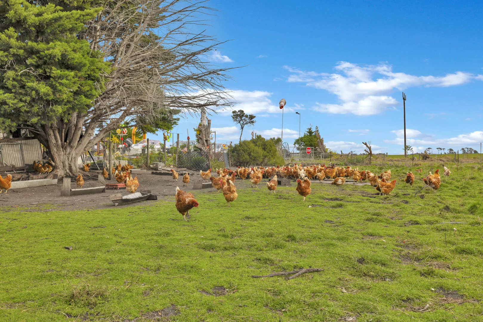 Additional image 6 of 190 Agar Road, Bass VIC 3991