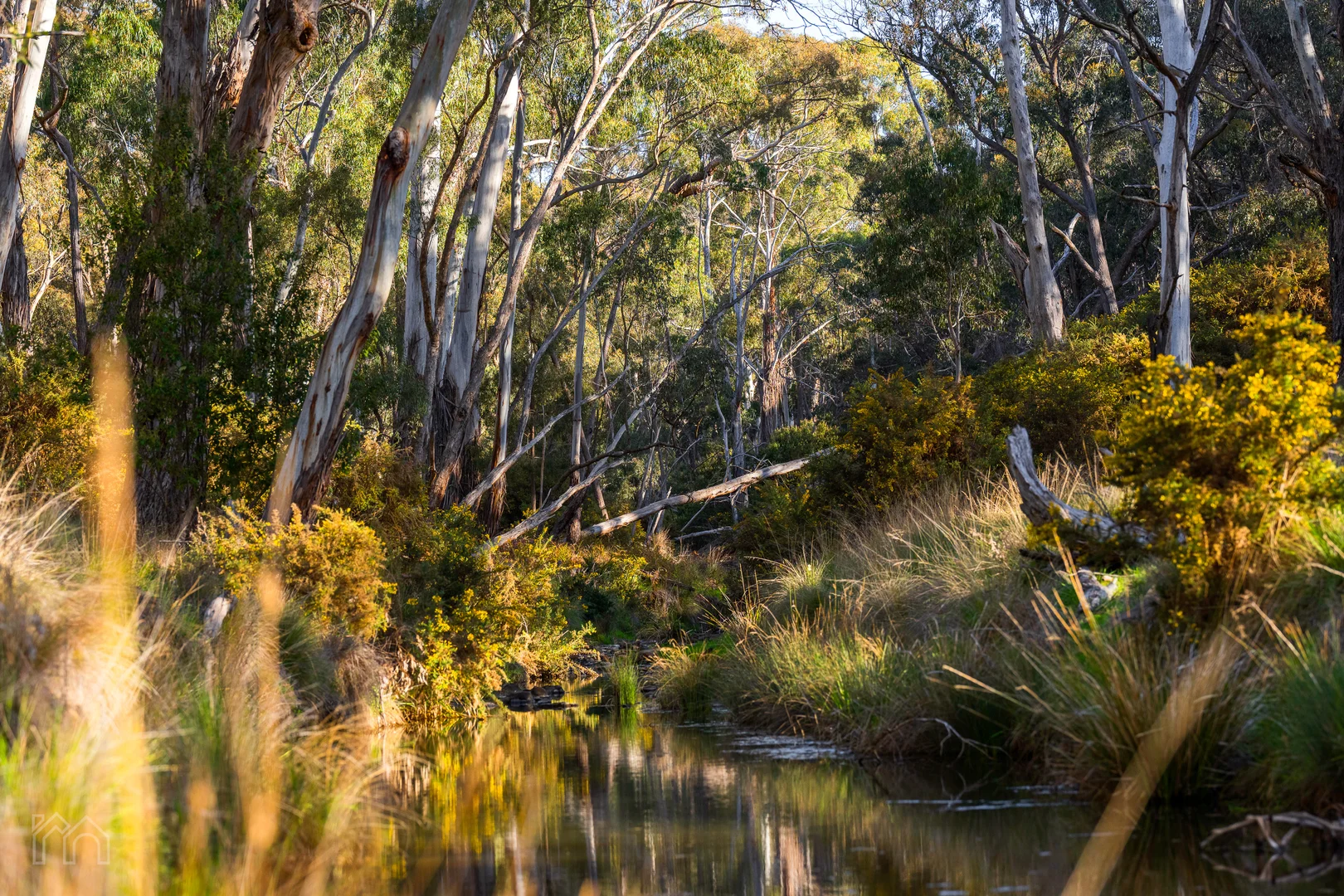 Additional image 29 of 340 Eastern Hill Road, Blampied VIC 3364