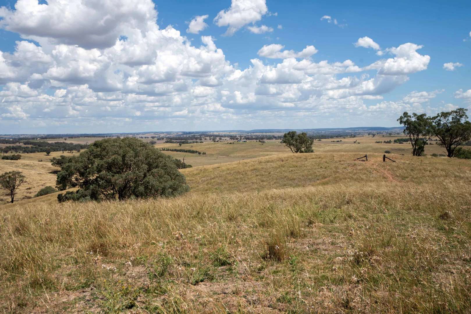 Additional image 23 of 1862 Euchareena Road, Euchareena NSW 2866