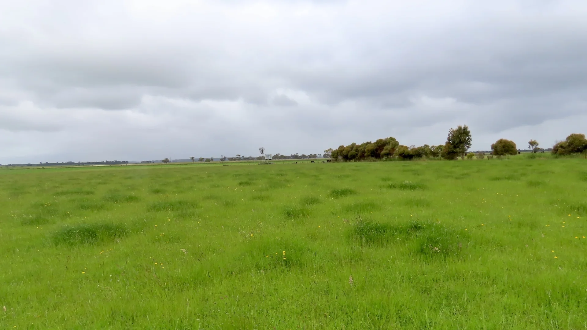 Additional image 10 of Contact Agent, Macarthur VIC 3286