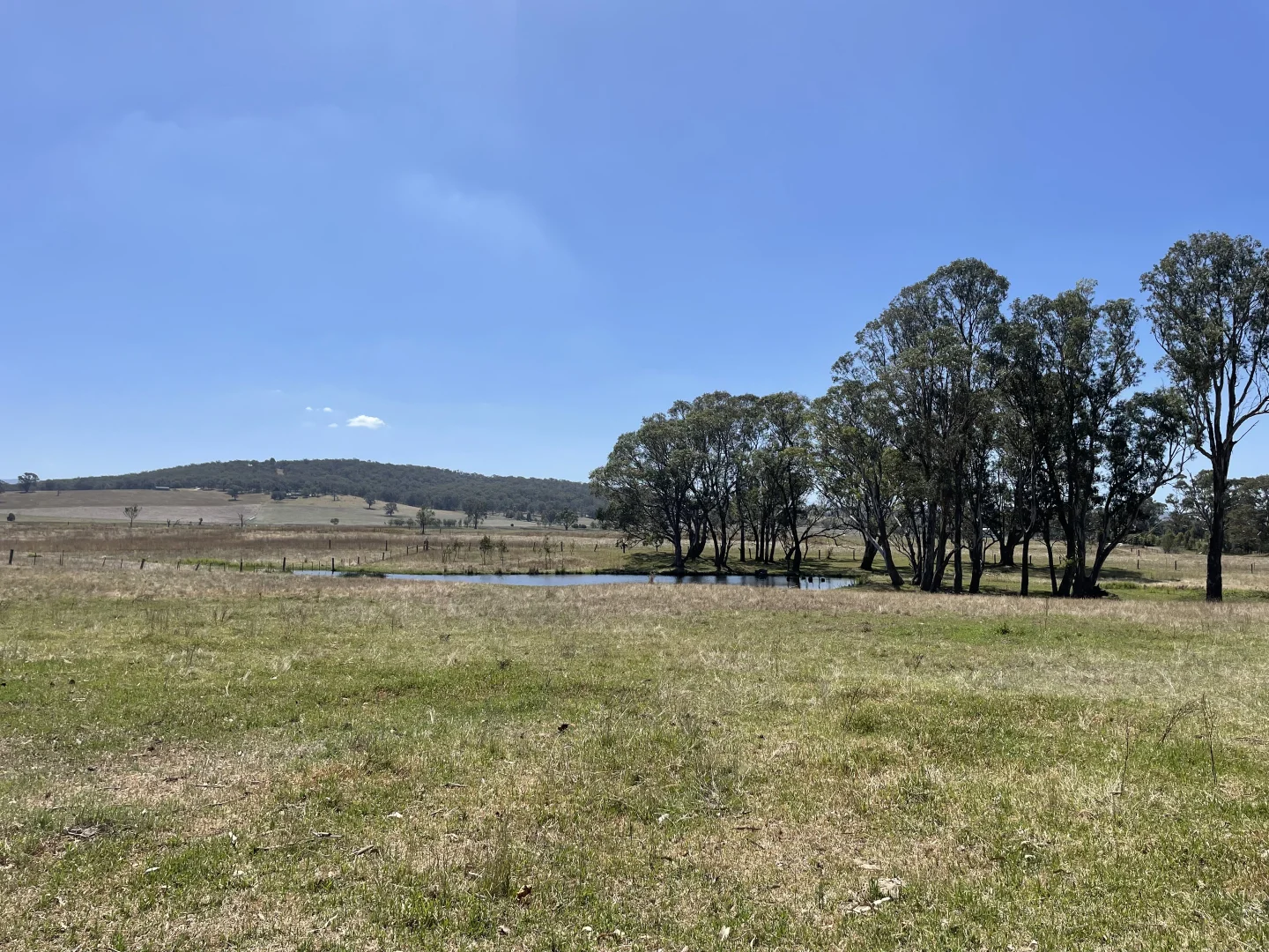 Additional image 29 of 343 Back Valencia Creek Road, Boisdale VIC 3860