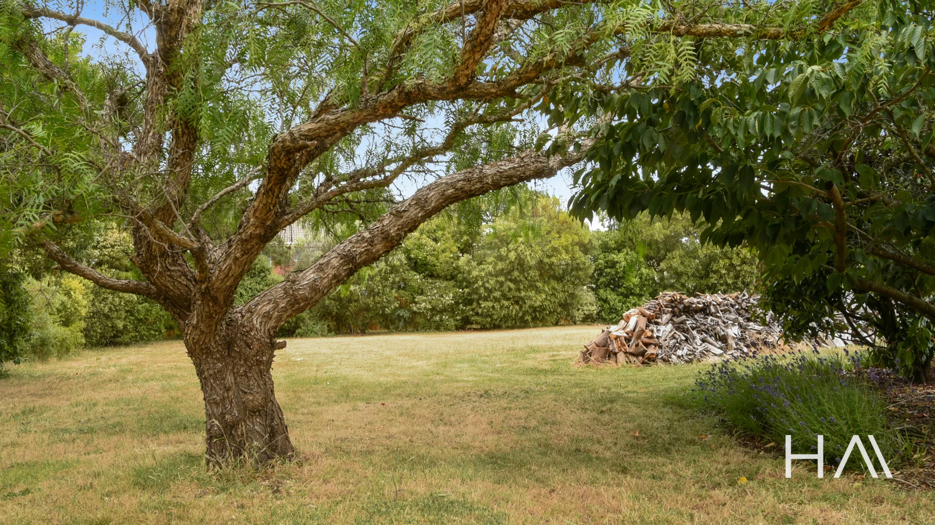 Additional image 26 of 10 Coachmans Road, Evandale TAS 7212