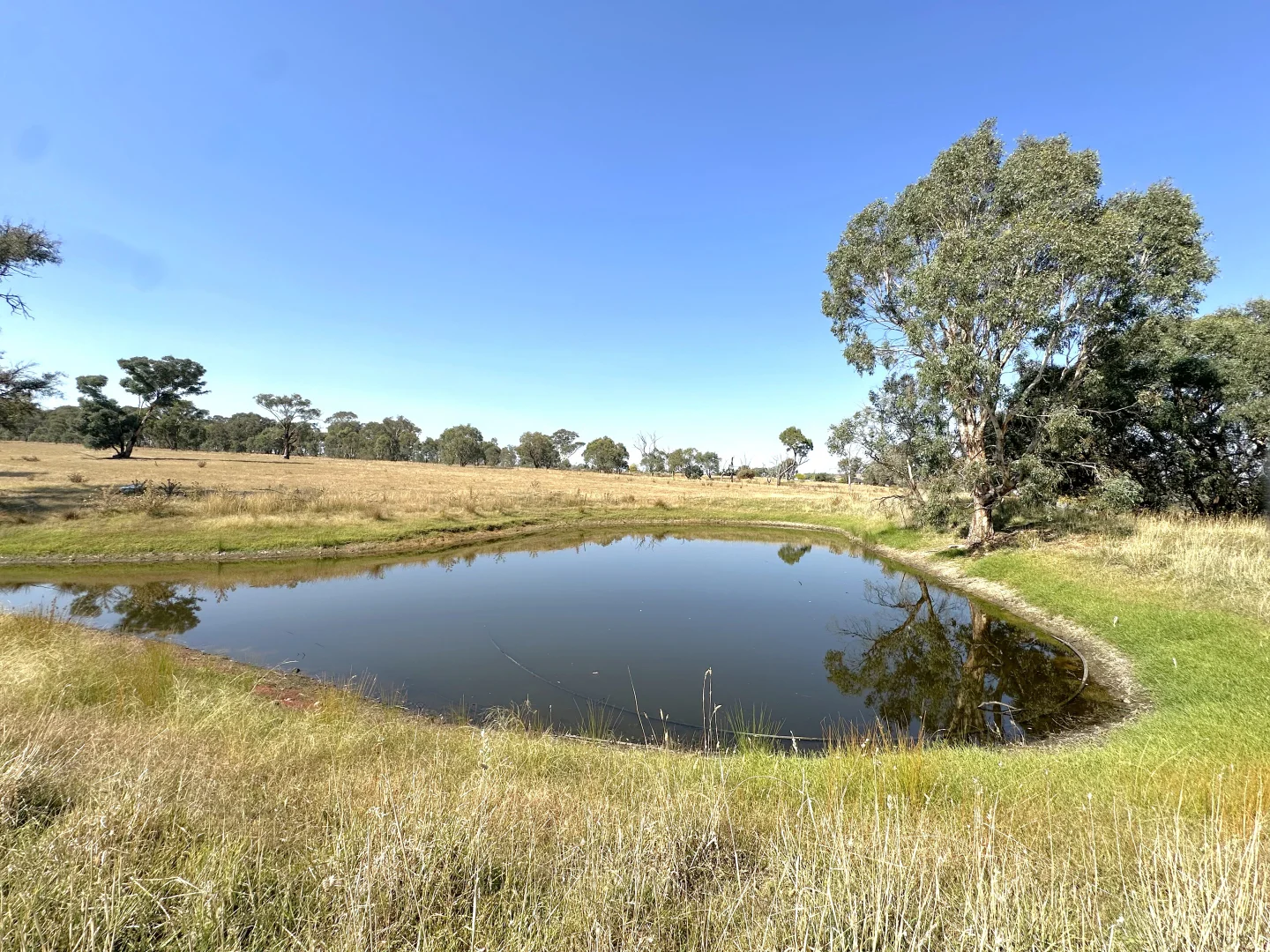 Additional image 16 of 'Riverview', 70 Rugby Road, Boorowa NSW 2586