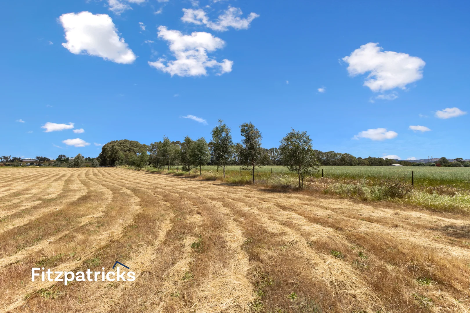 Additional image 7 of 139 Butterbush Road, Gregadoo NSW 2650