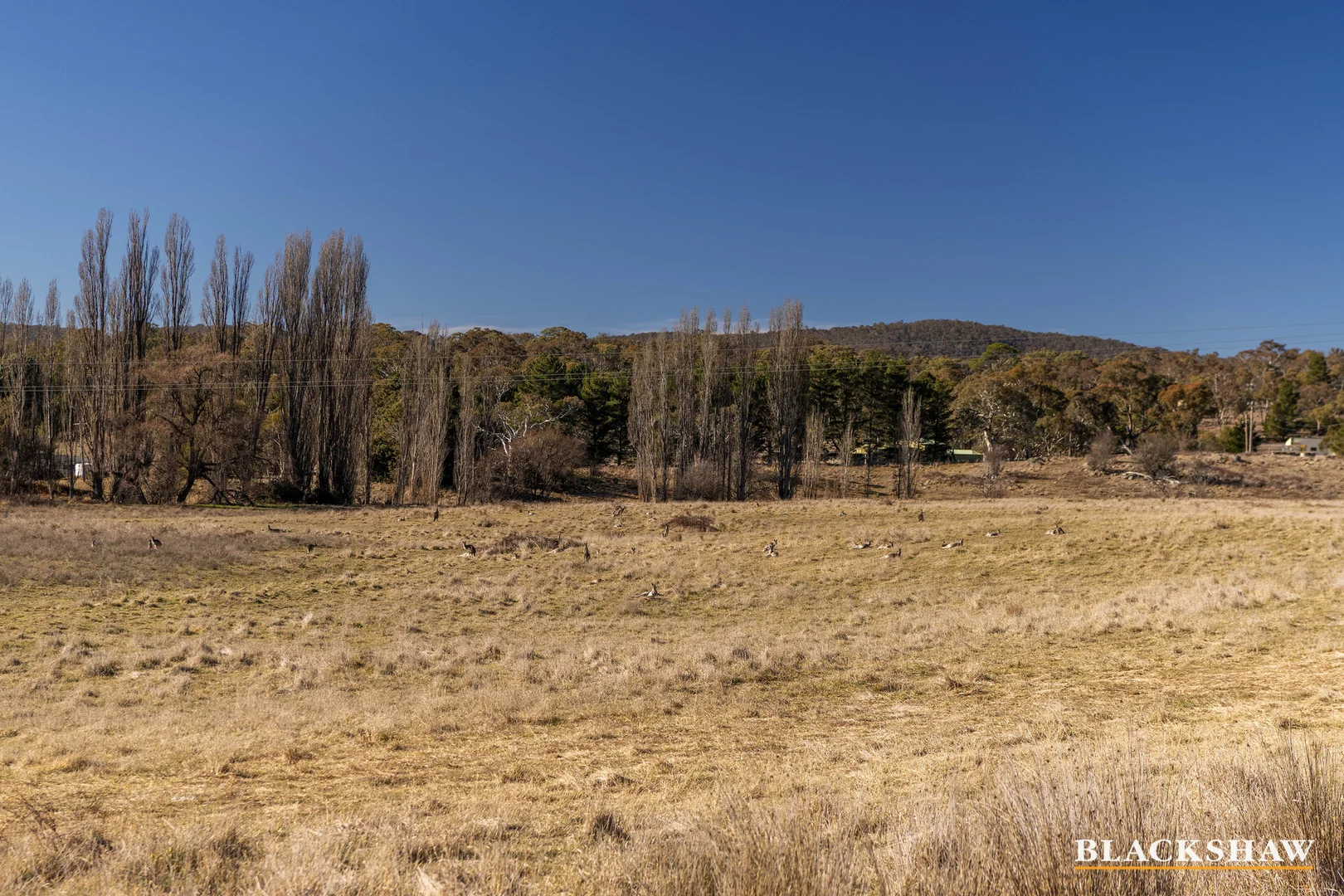 Additional image 23 of 93 Kingfisher Lane, Burra NSW 2620