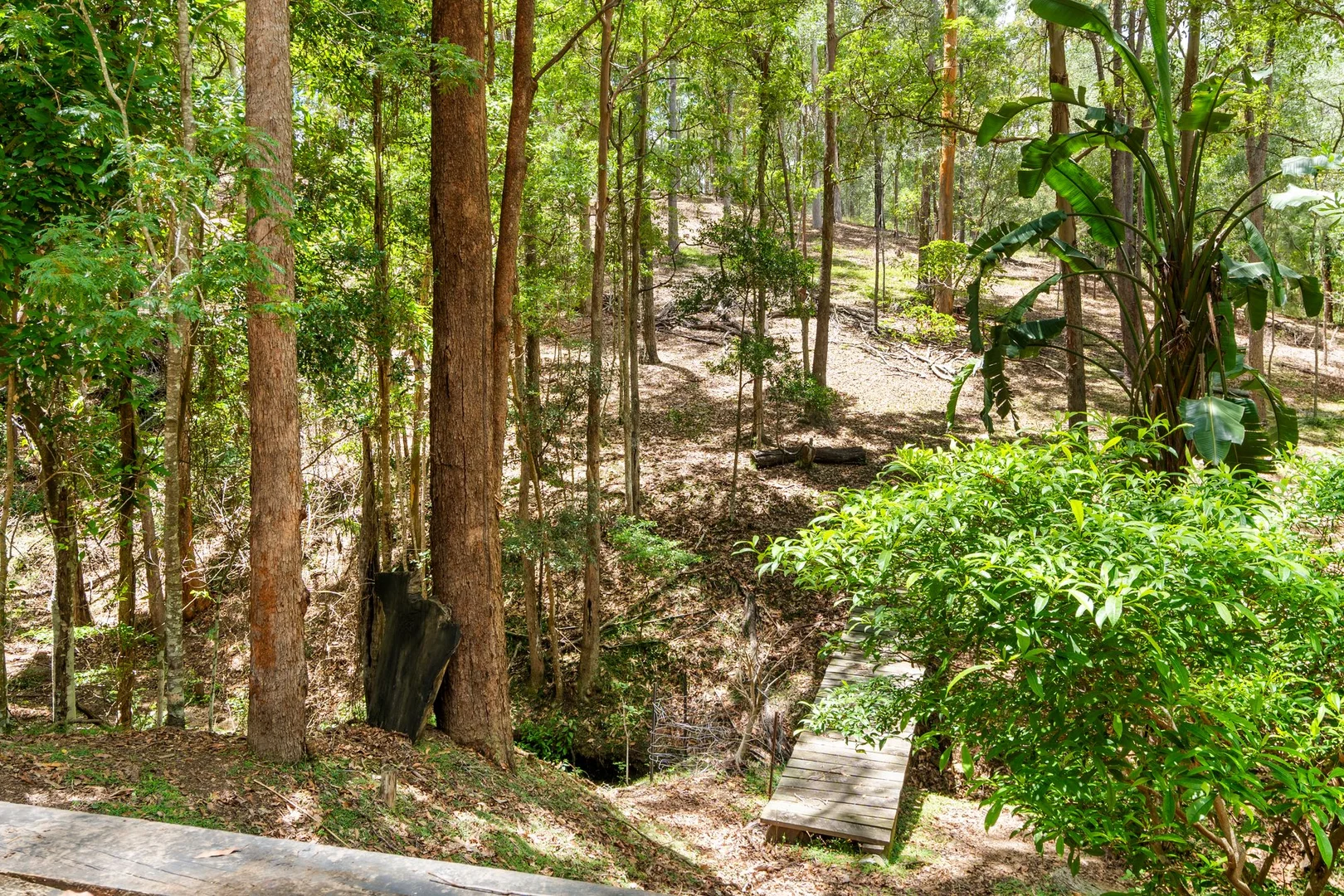 Additional image 17 of 1 Mason Court, Samsonvale QLD 4520