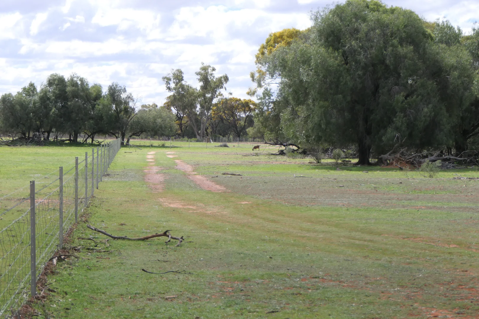 Additional image 11 of * Gilgunnia Station, 3240 Mulya Road, Cobar NSW 2835