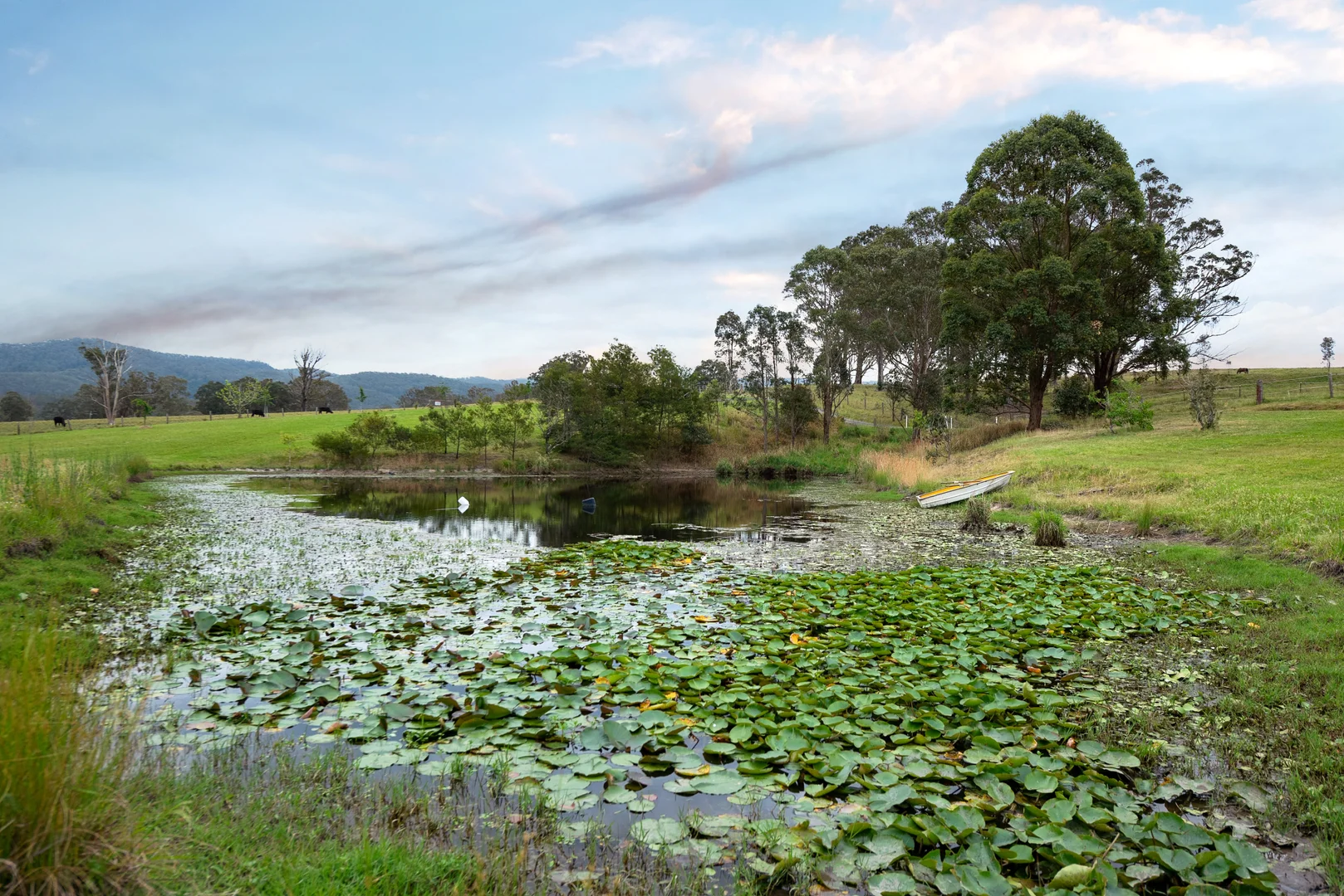 Additional image 29 of 2411 The Bucketts Way, Wards River NSW 2422