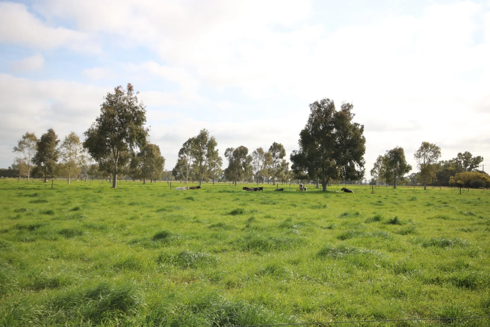 Additional image 33 of 252 Bamawm Road, Bamawm Extension VIC 3564