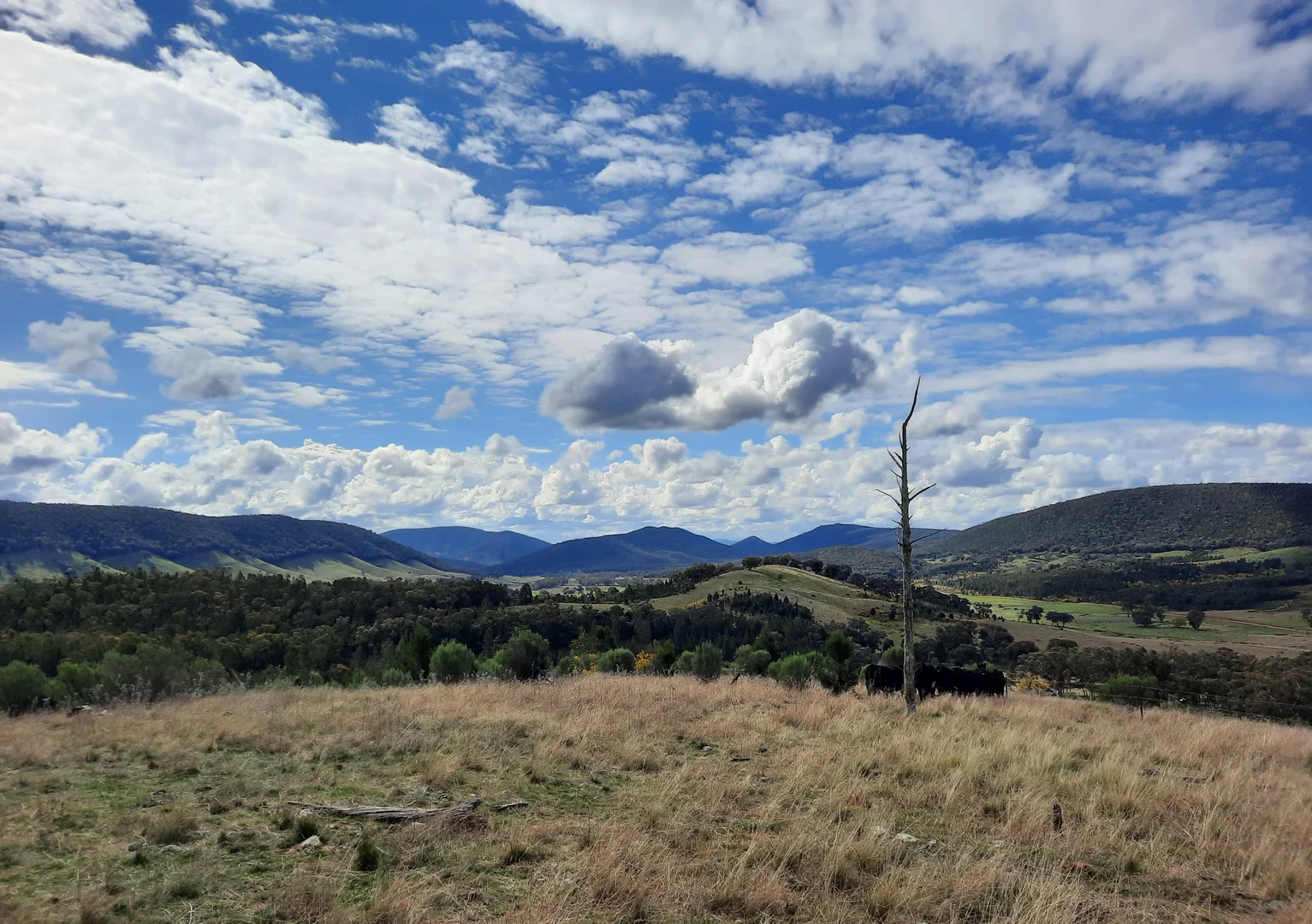 Additional image 5 of "Abercorn", 2154 Kangarooby Road, Gooloogong NSW 2805